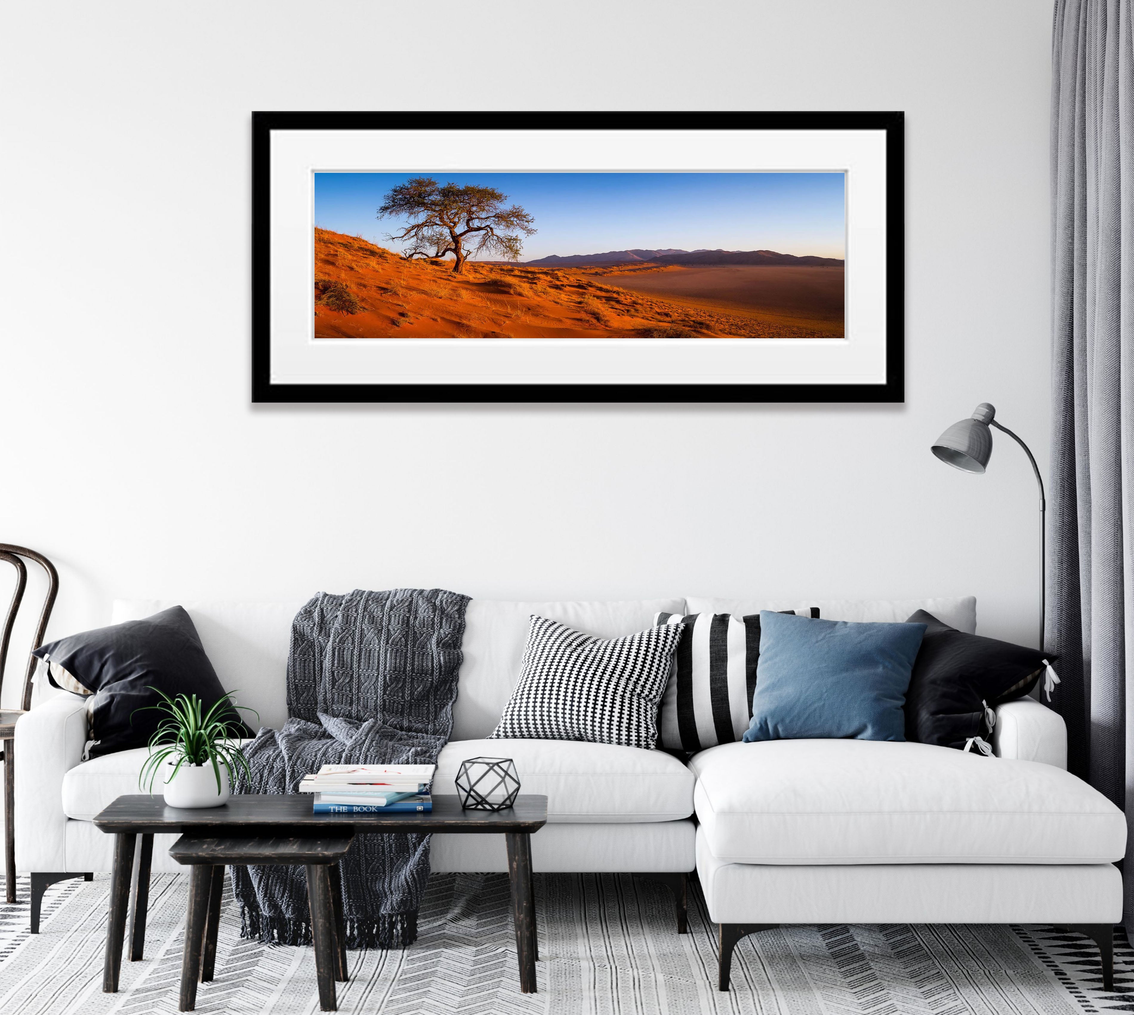 Desert Resilience, Namibia, Africa
