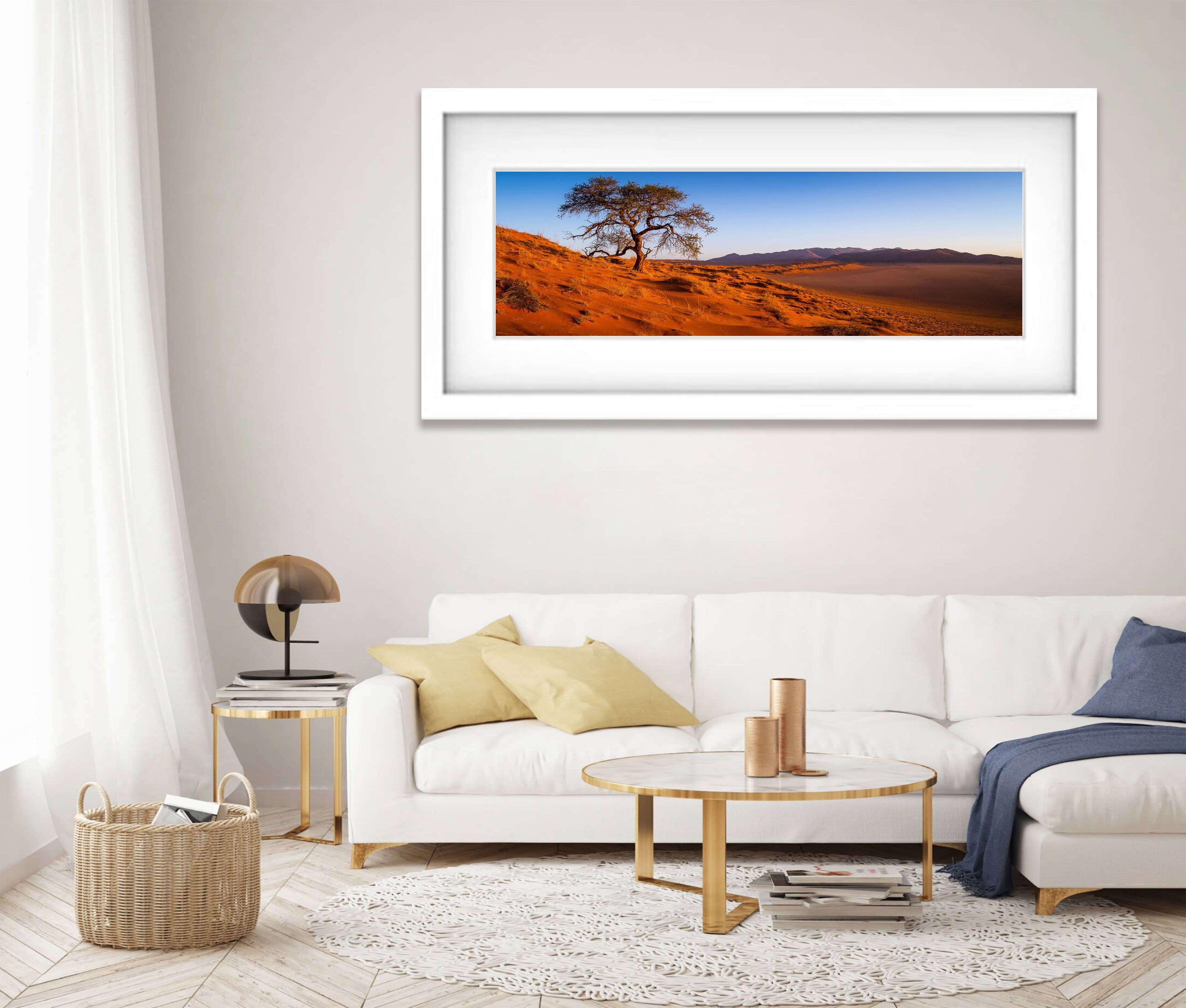 Desert Resilience, Namibia, Africa