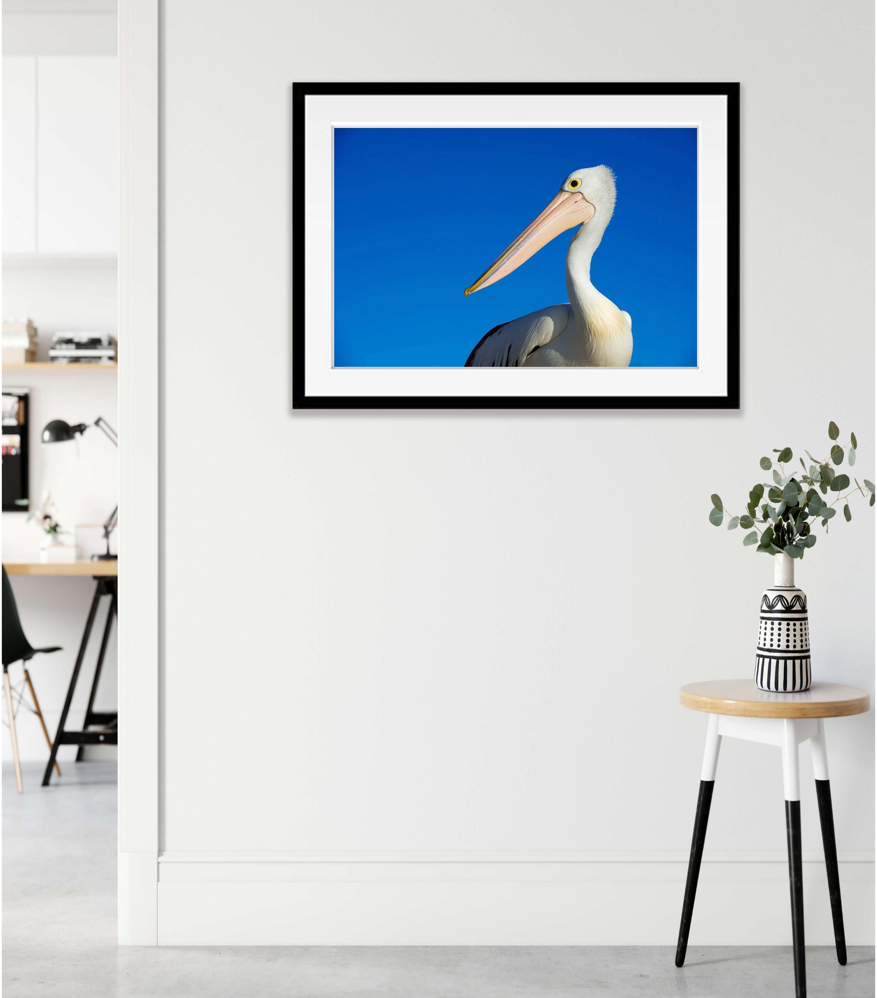 Pelican portrait