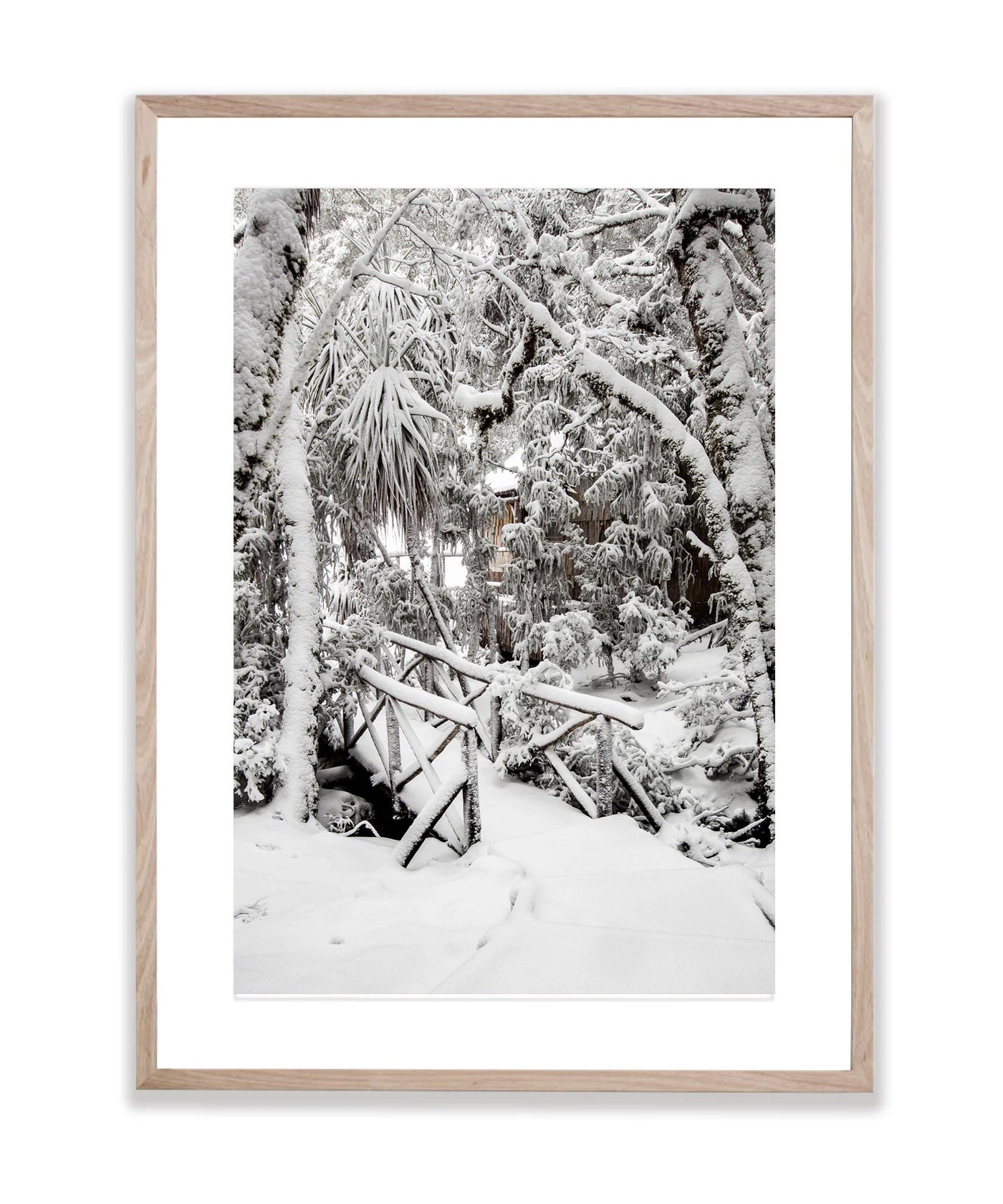 Snow-Covered Bridge, Cradle Mountain, Tasmania