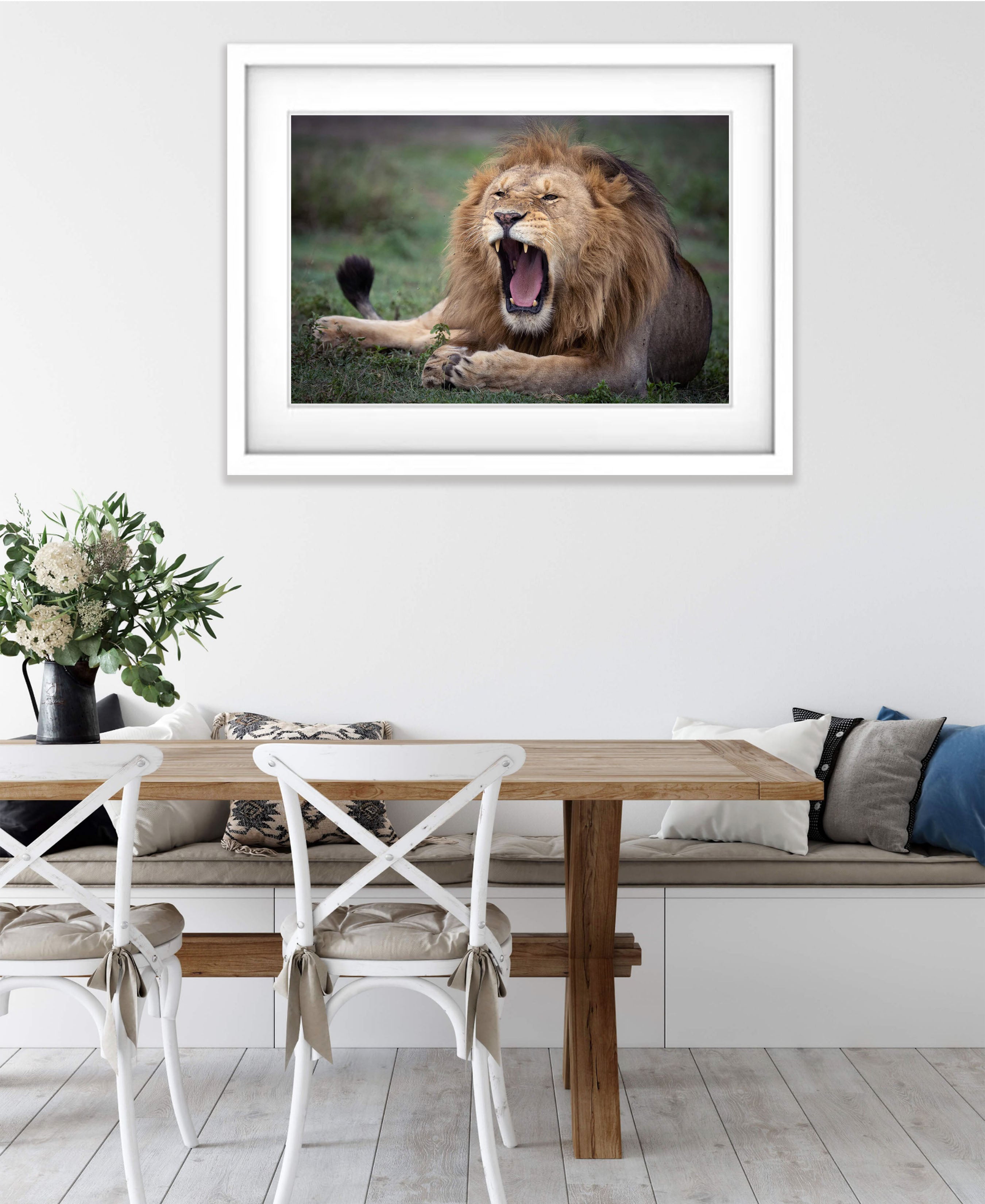 Ragging Lion, Tanzania