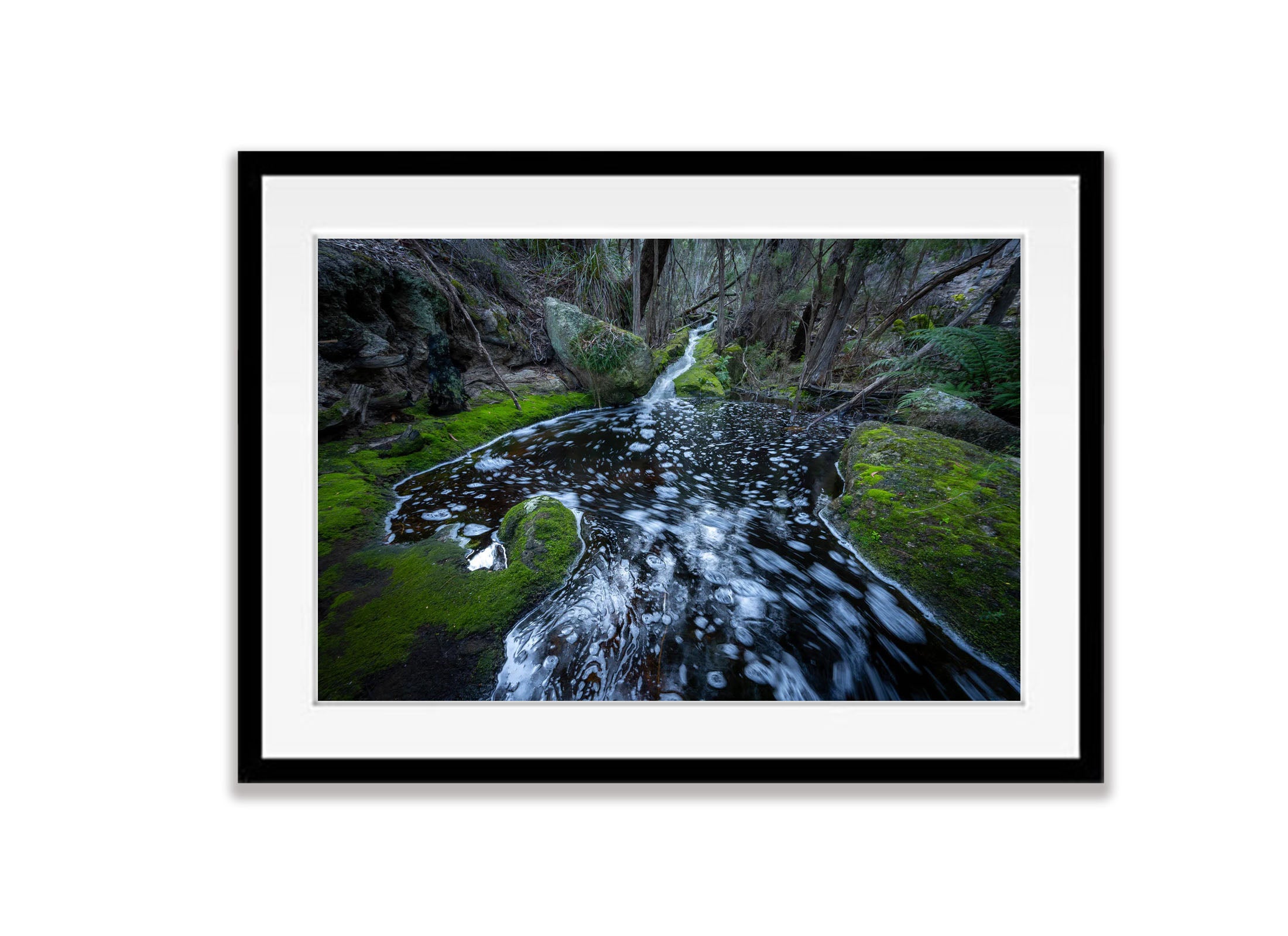 Rainforest Stream, Flinders Island, Tasmania