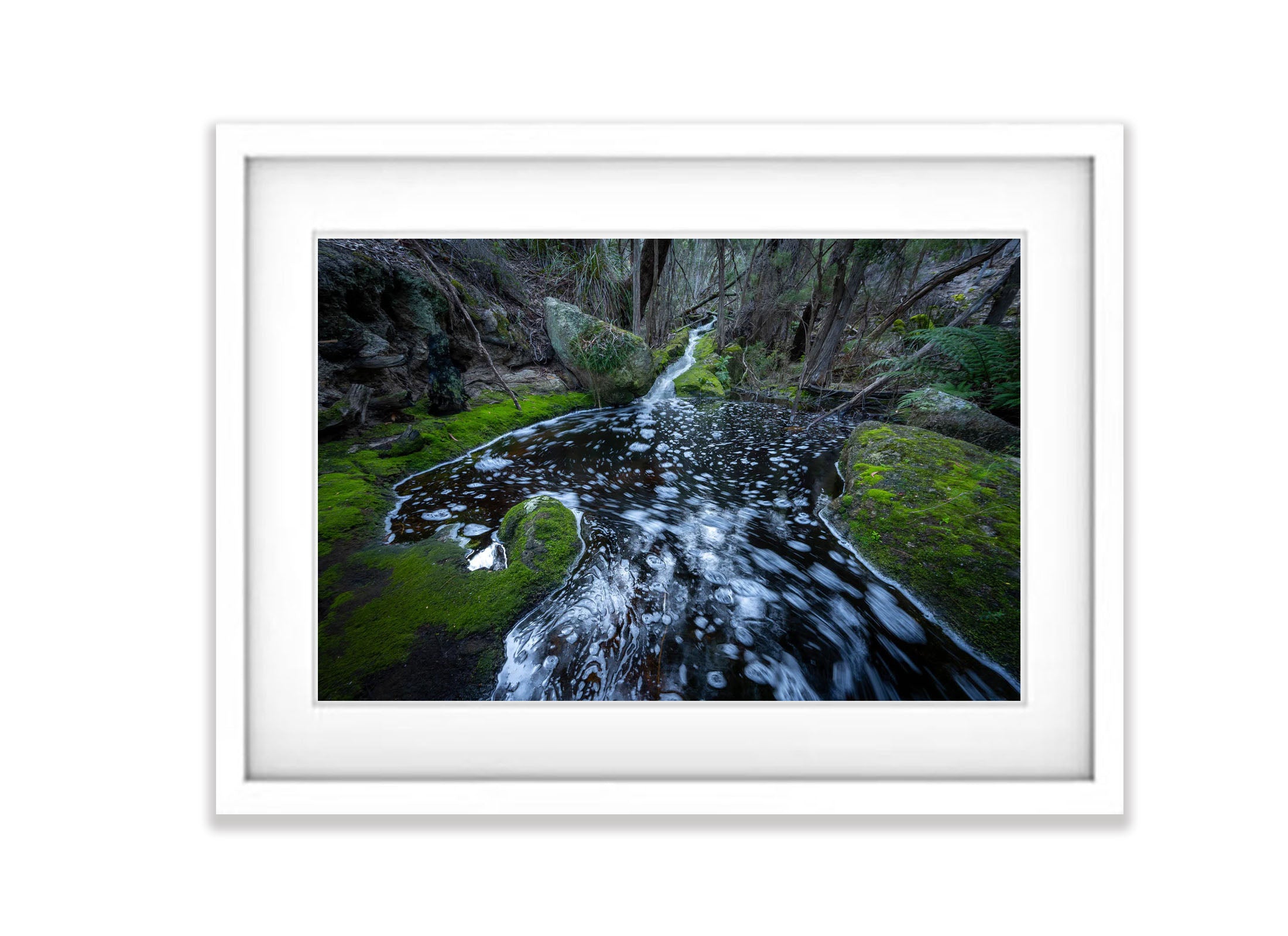 Rainforest Stream, Flinders Island, Tasmania