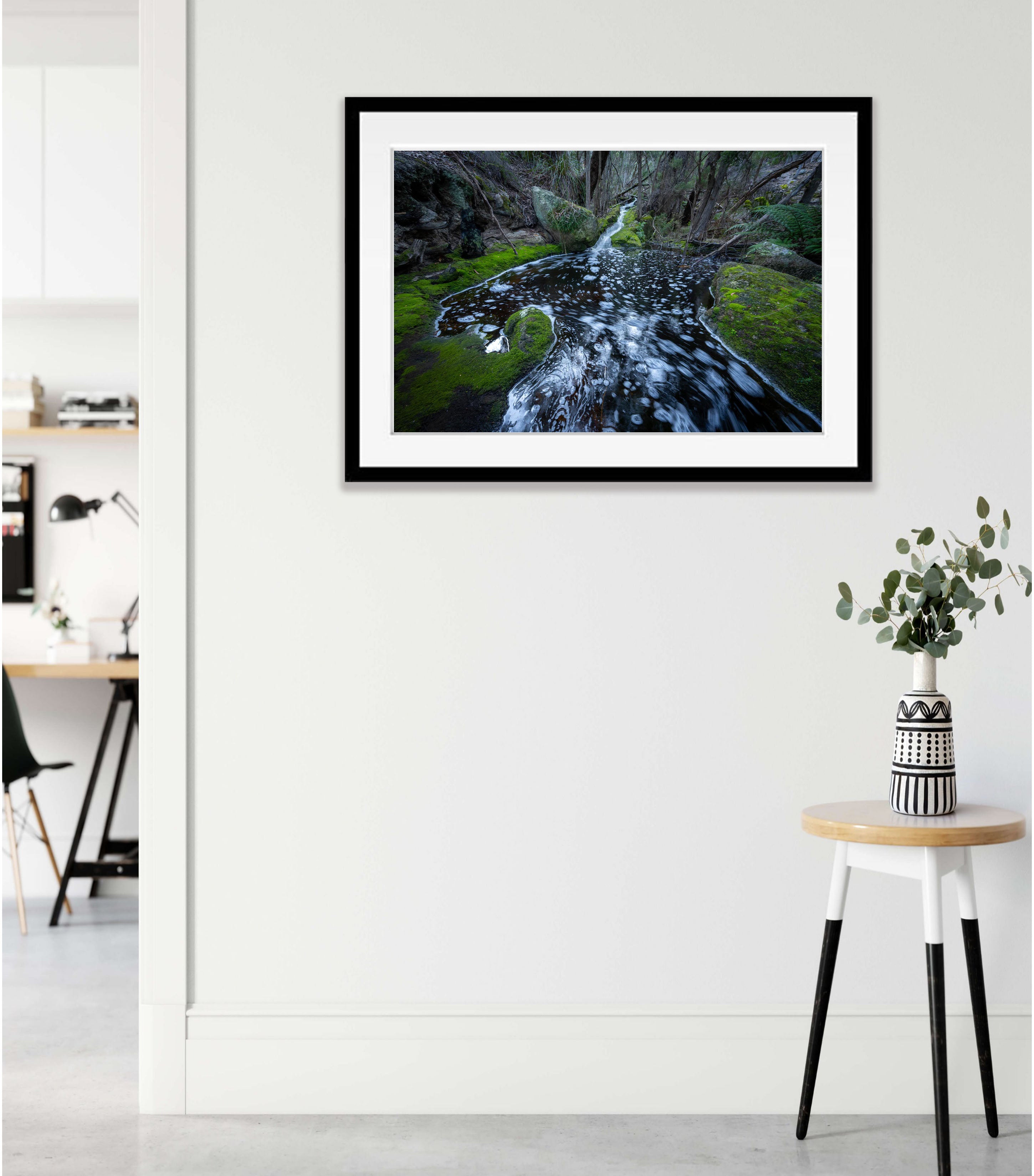 Rainforest Stream, Flinders Island, Tasmania