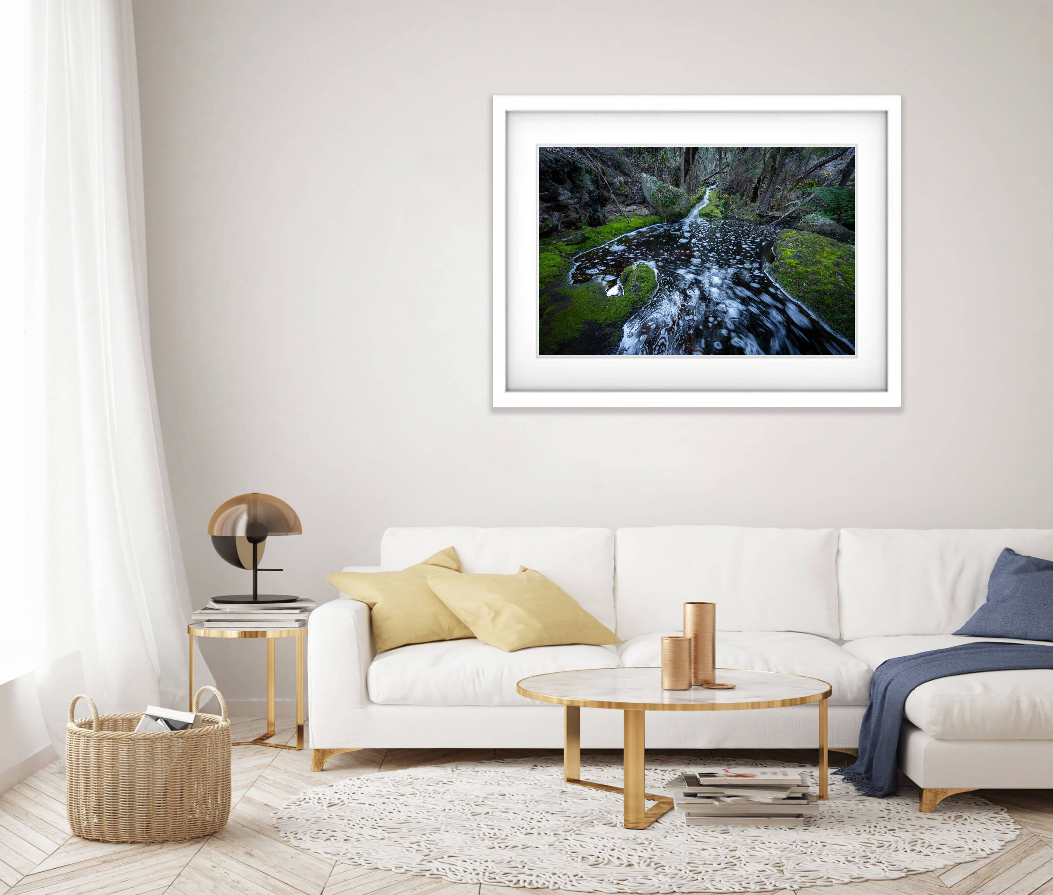 Rainforest Stream, Flinders Island, Tasmania