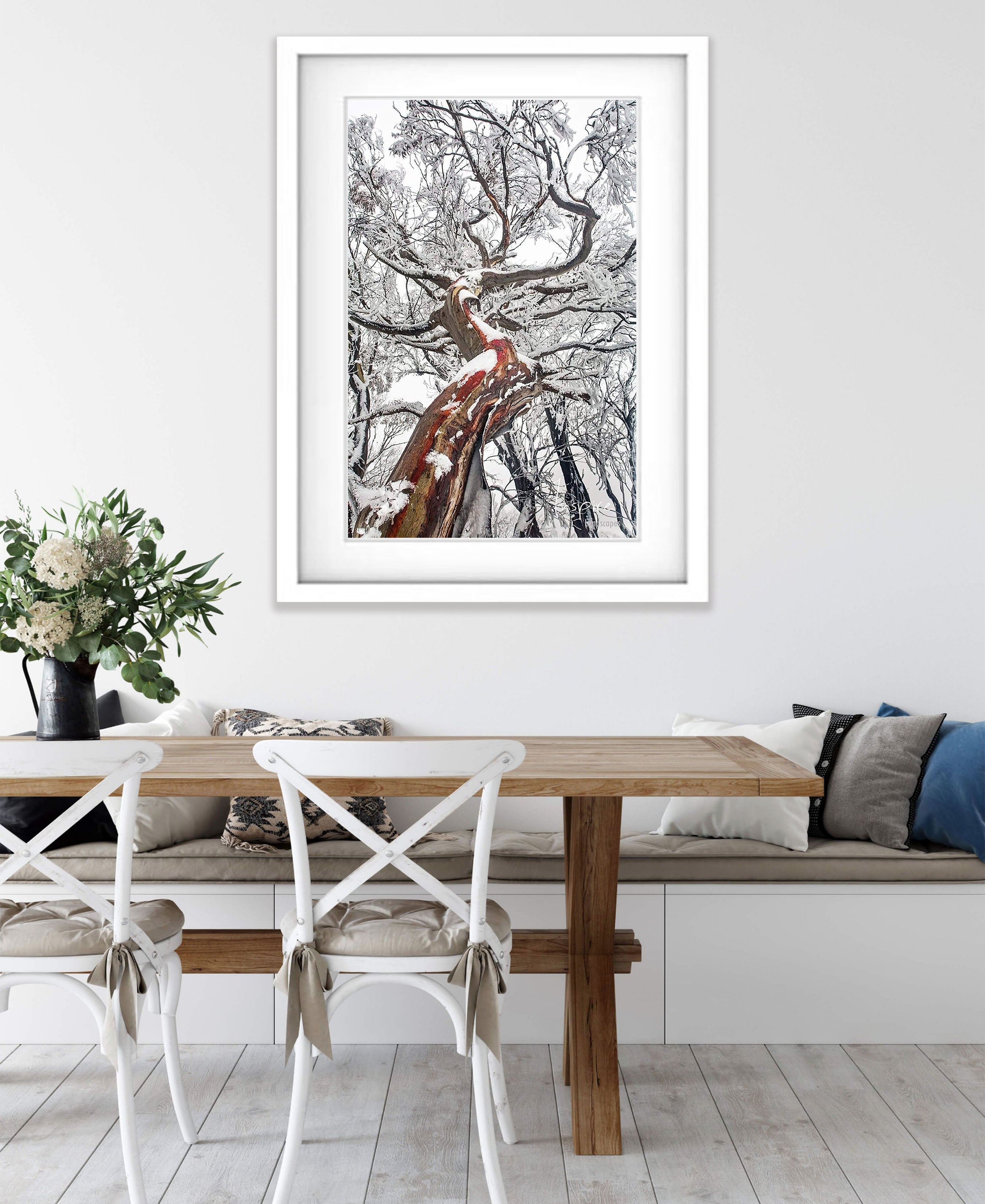 Reaching Up (Snow Gum), Mount Buller VIC