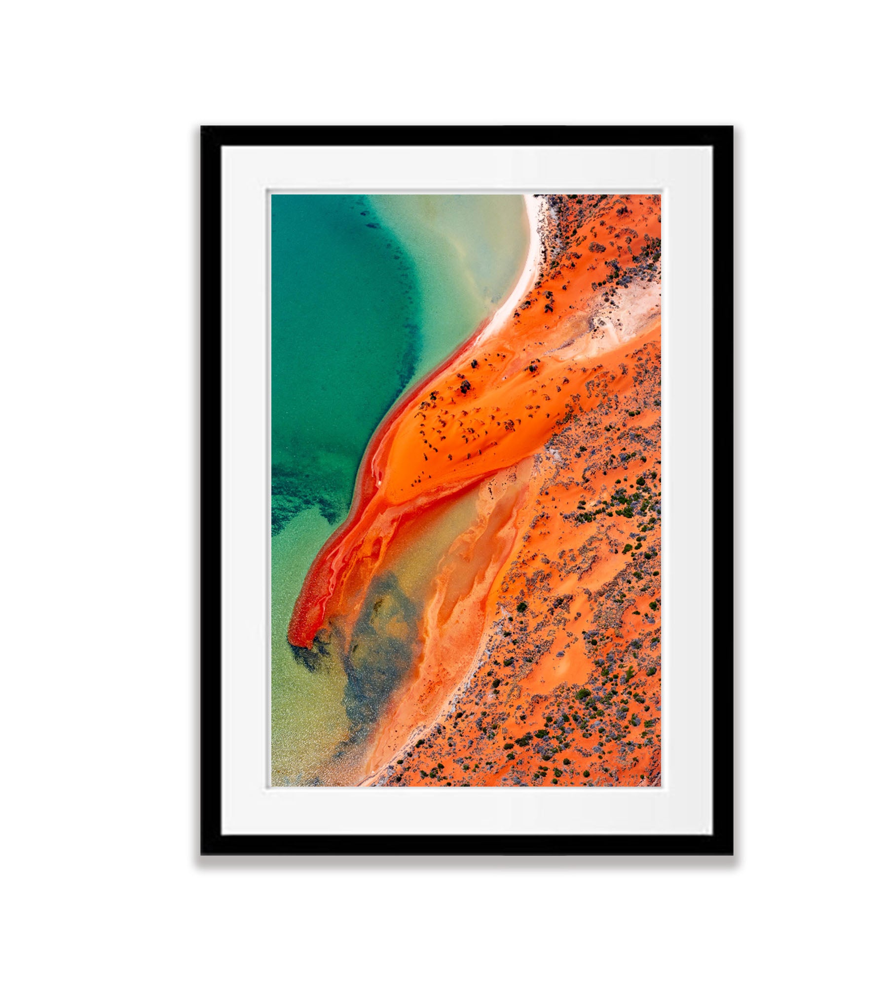 Red Eagle, Shark Bay, WA