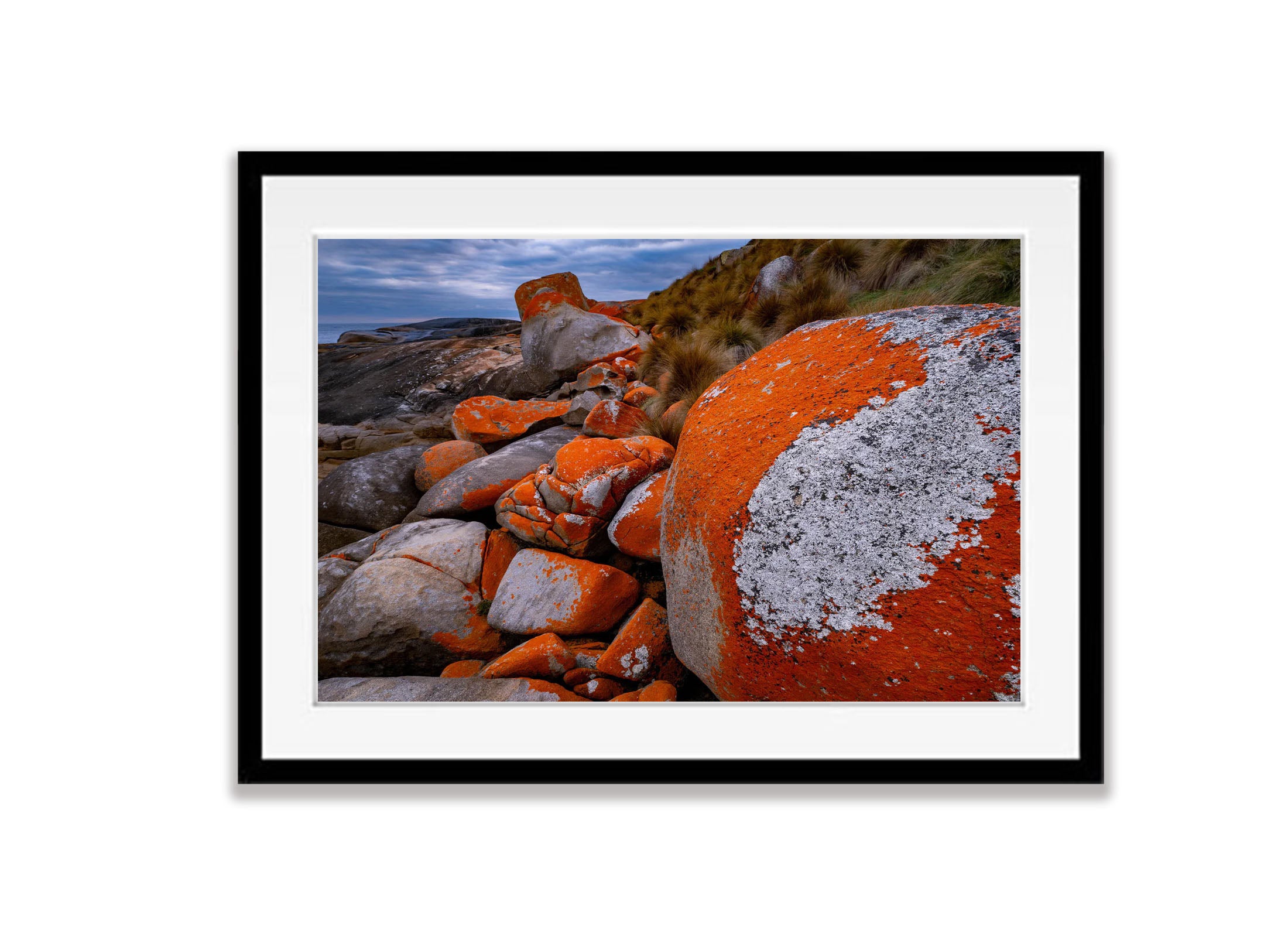 Red Lichen Rocks No.2, Flinders Island, Tasmania