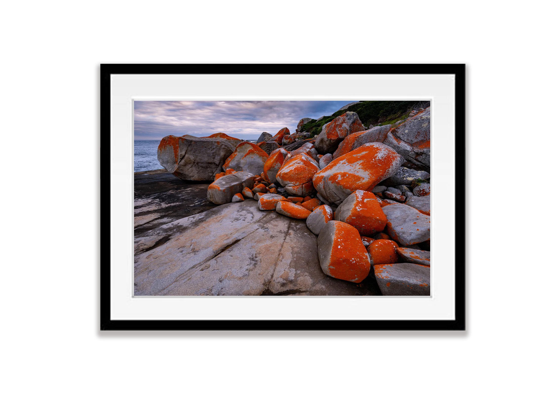 Red Lichen Rocks No.3, Flinders Island, Tasmania