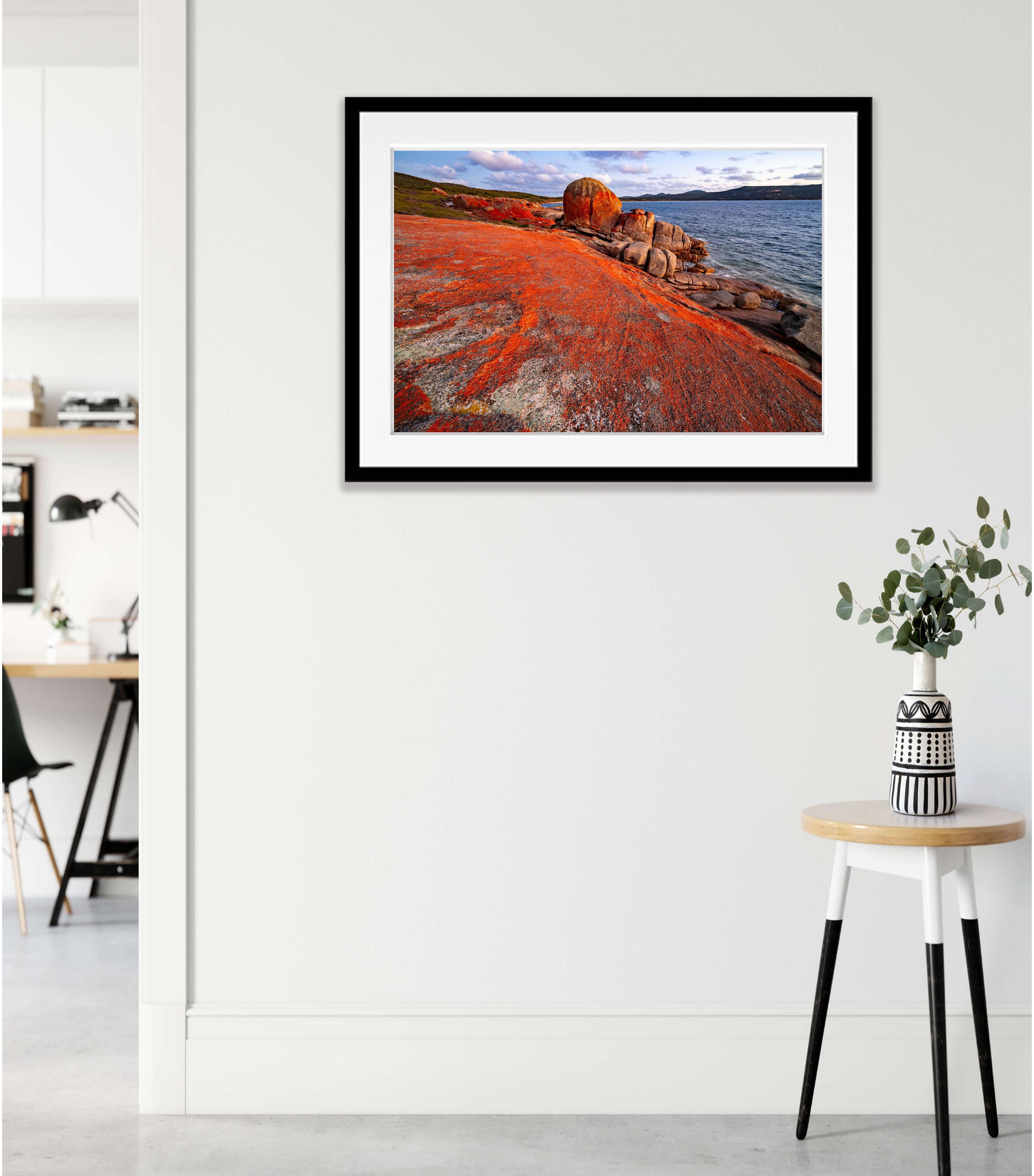 Red Lichen, Killicrankie, Flinders Island, Tasmania