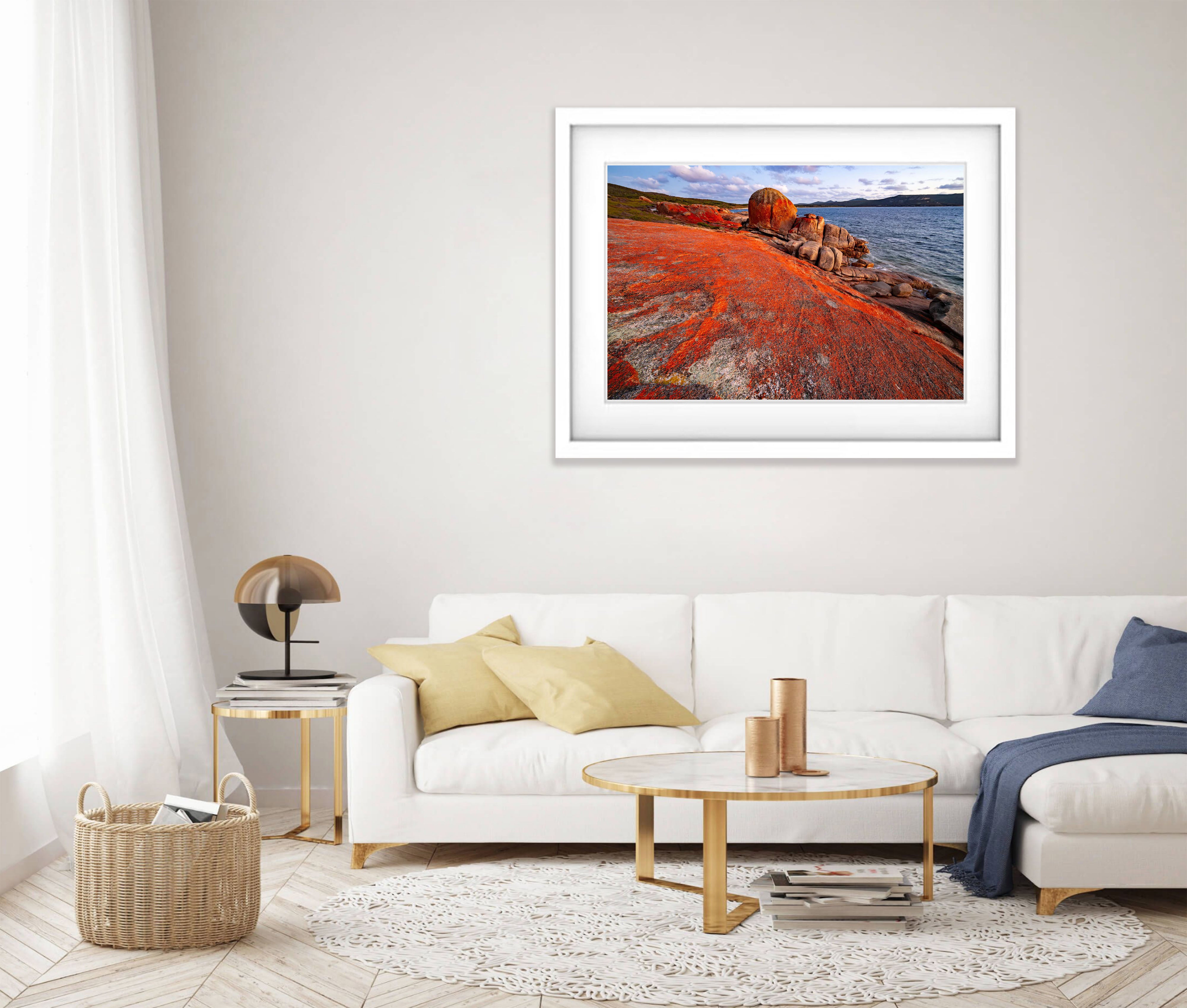 Red Lichen, Killicrankie, Flinders Island, Tasmania