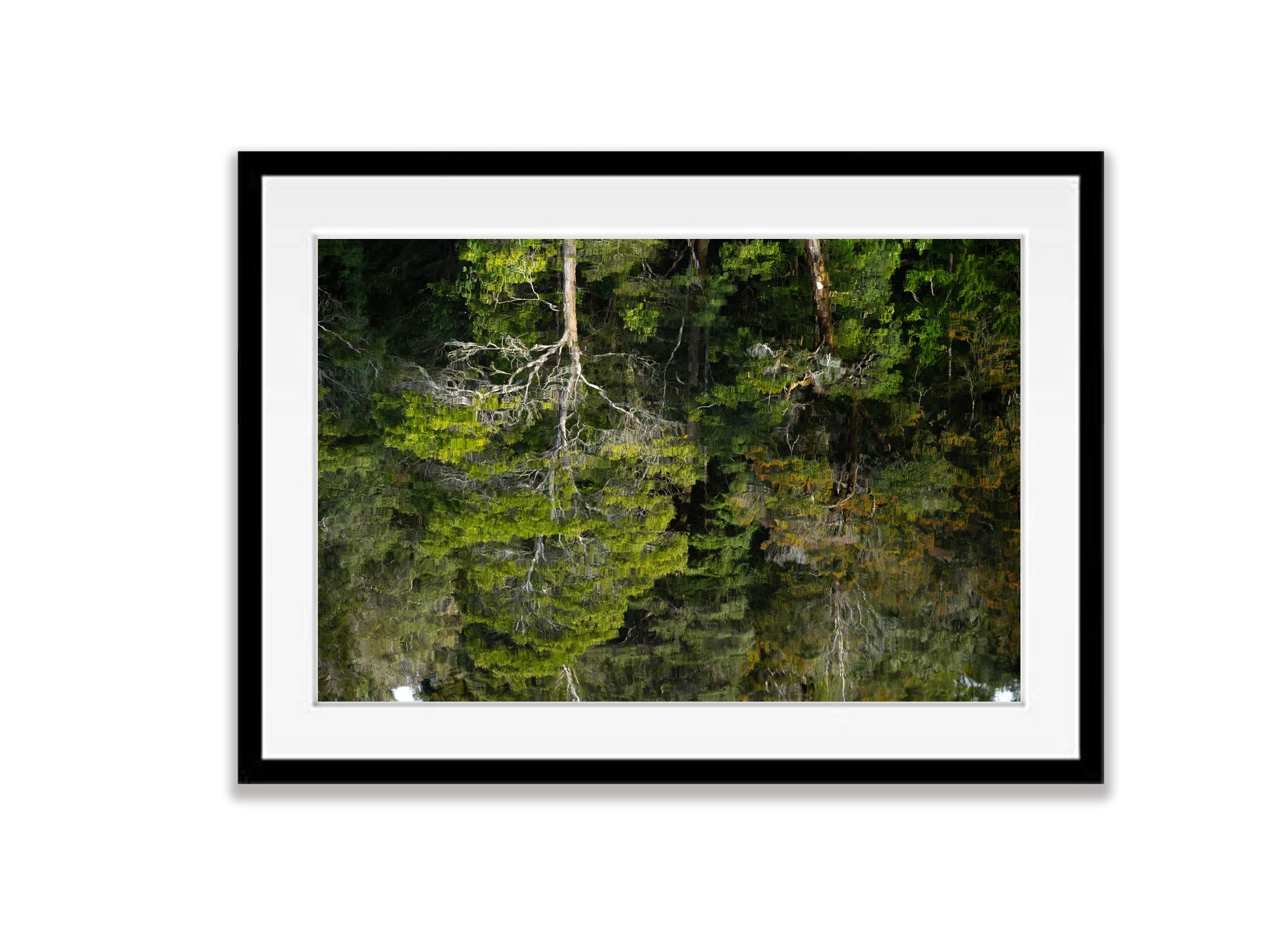 Reflections, Lower Franklin River, Tasmania