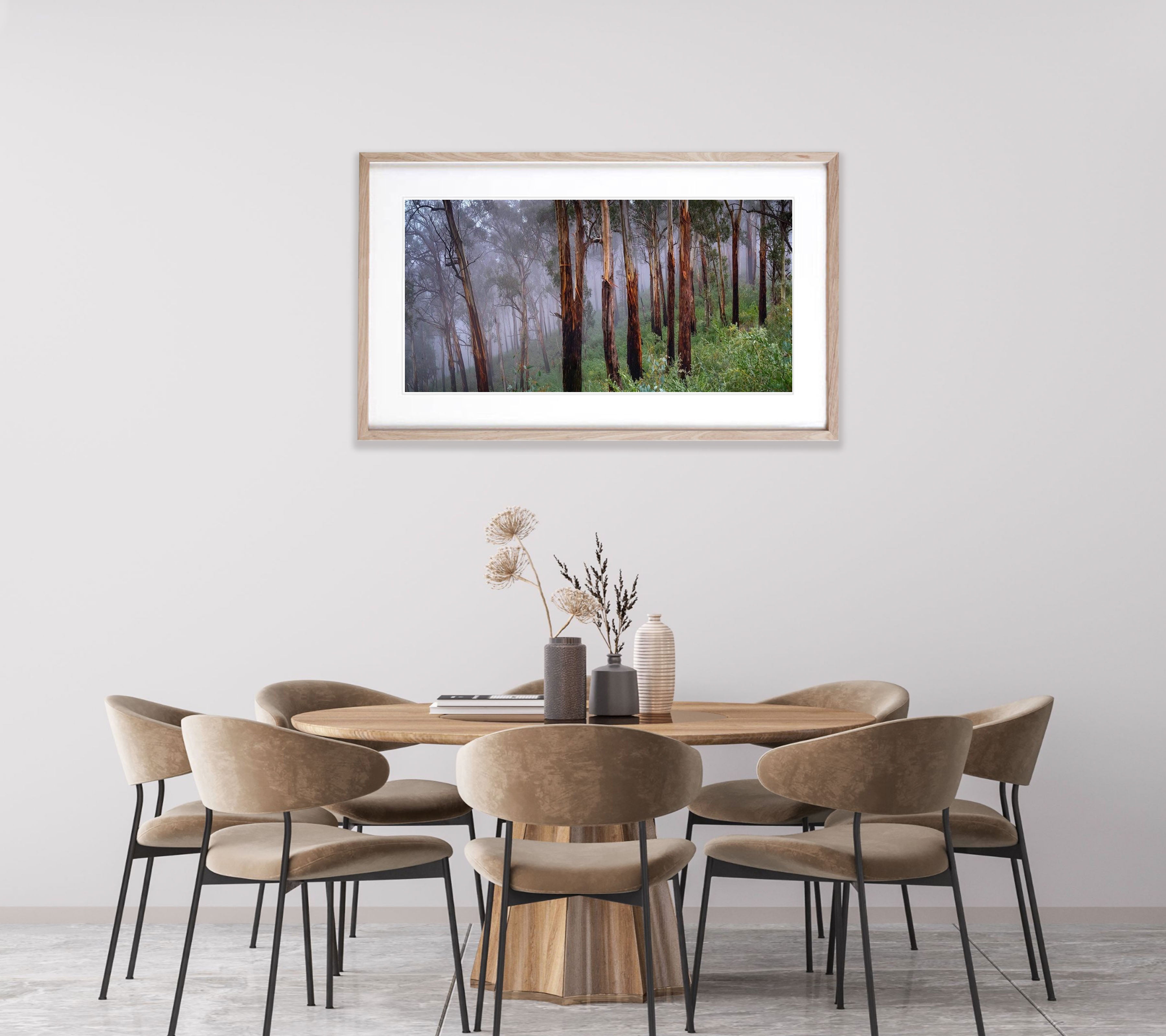 Regrowth - Victorian High Country