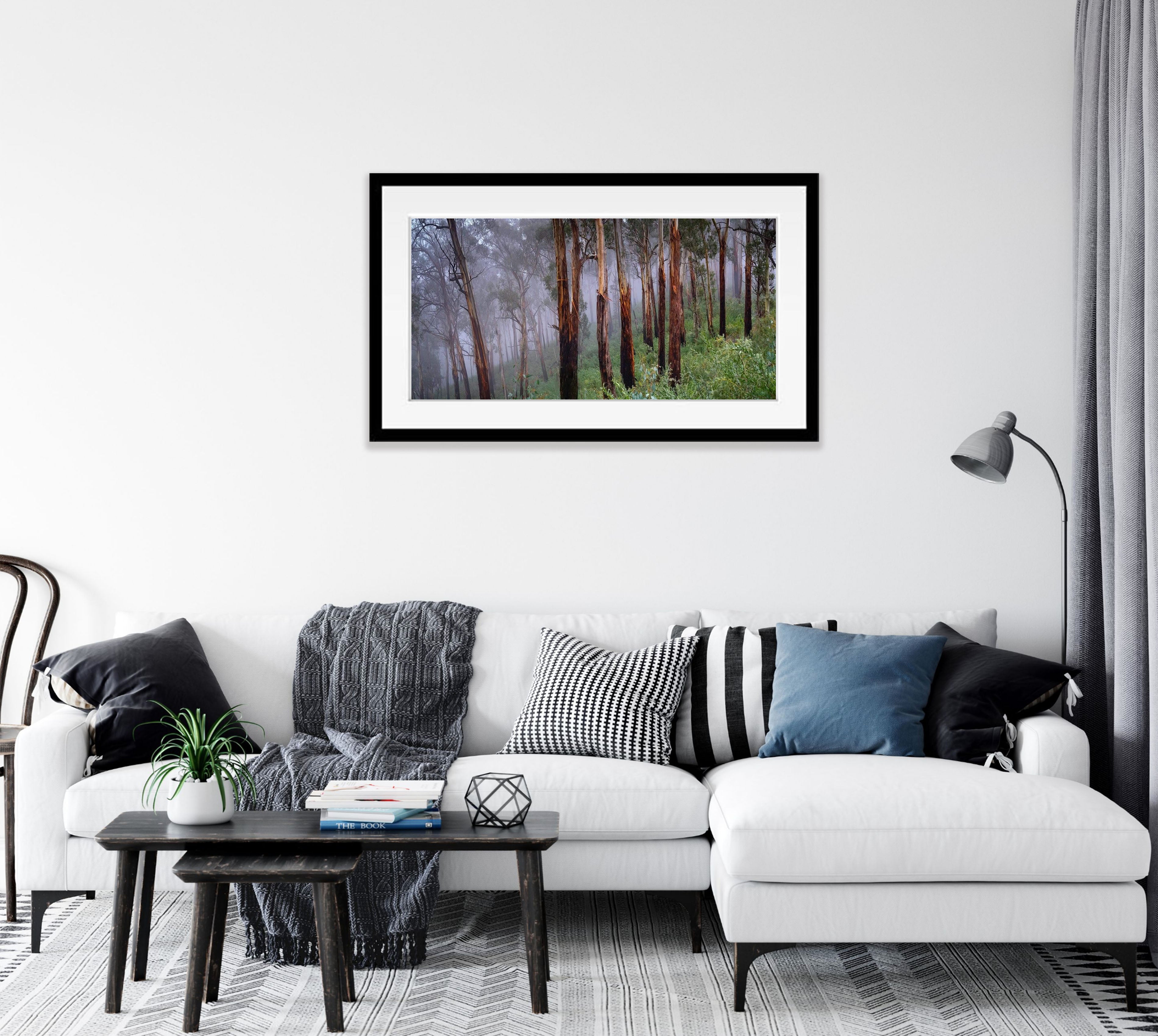 Regrowth - Victorian High Country