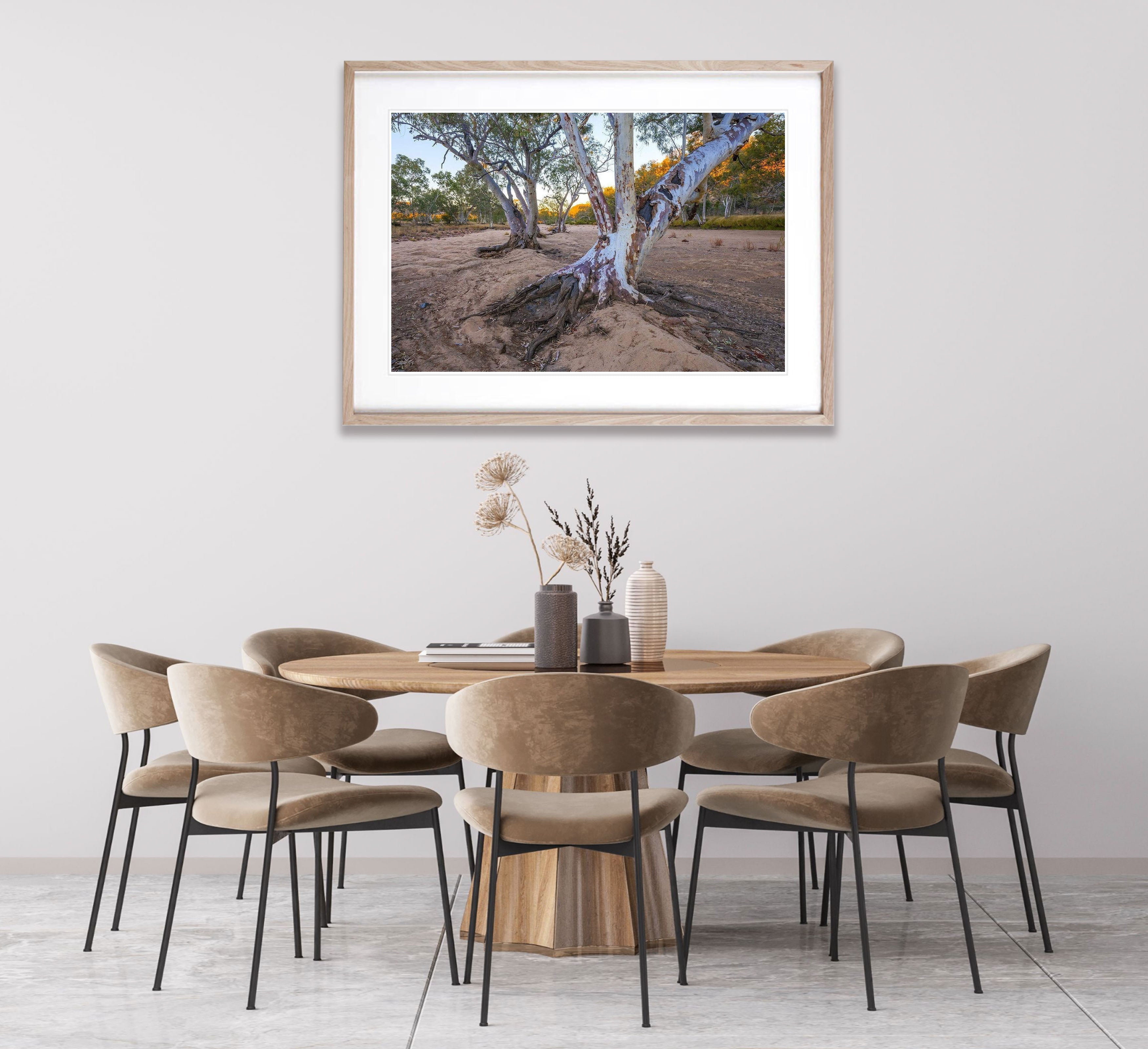 River Red Gums, Ormiston Gorge - West MacDonnell Ranges NT