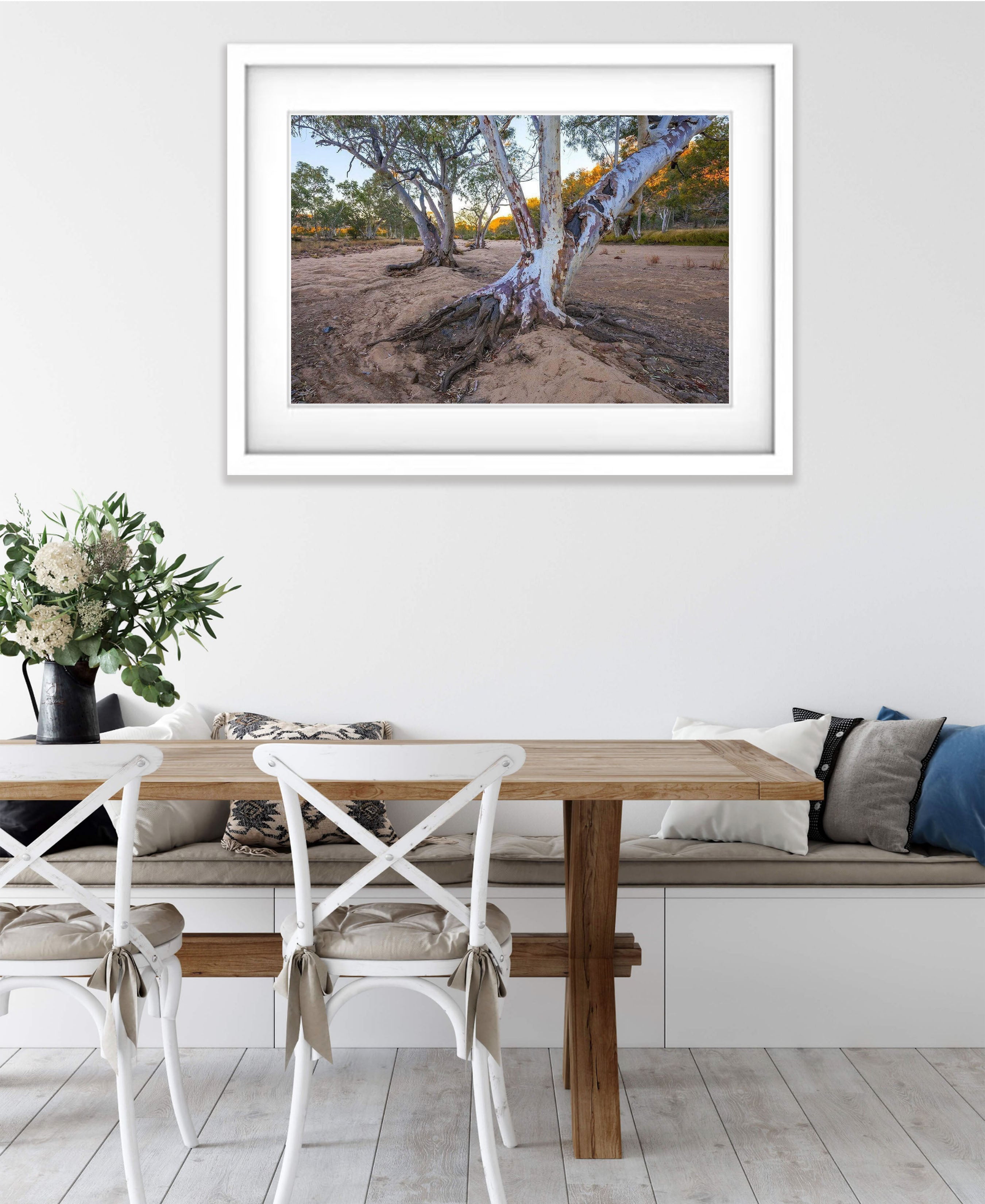 River Red Gums, Ormiston Gorge - West MacDonnell Ranges NT