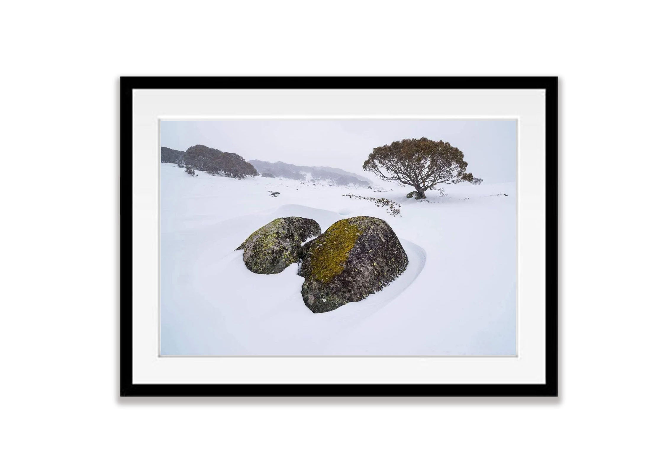 Rocky Landscape
