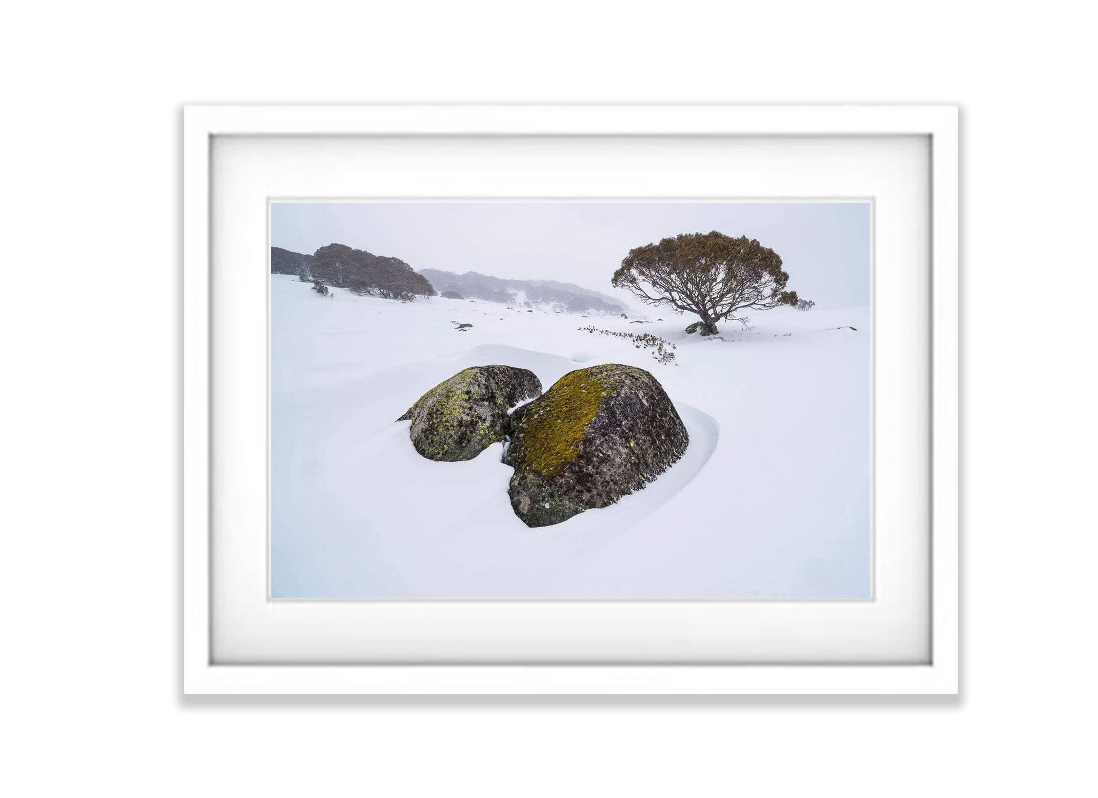 Rocky Landscape