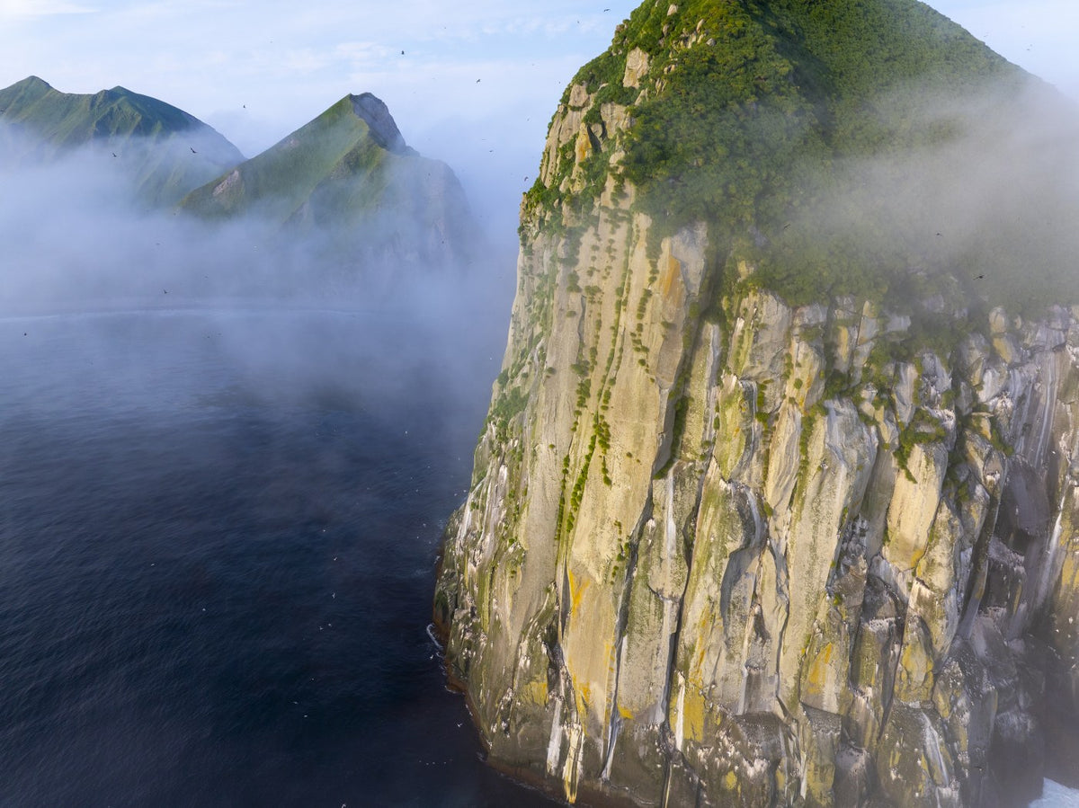 Fog-Swept Bluff