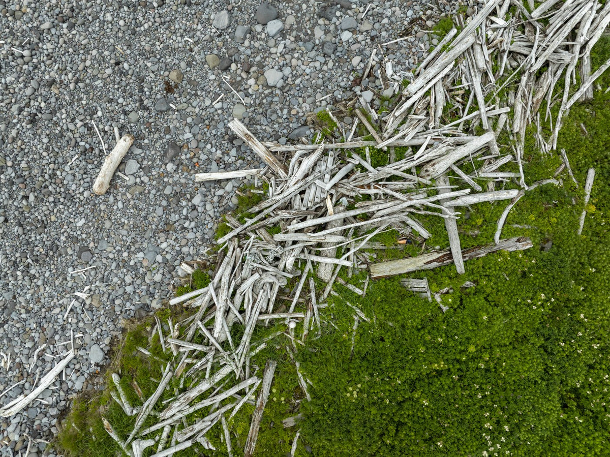 Driftwood, Stone and Moss