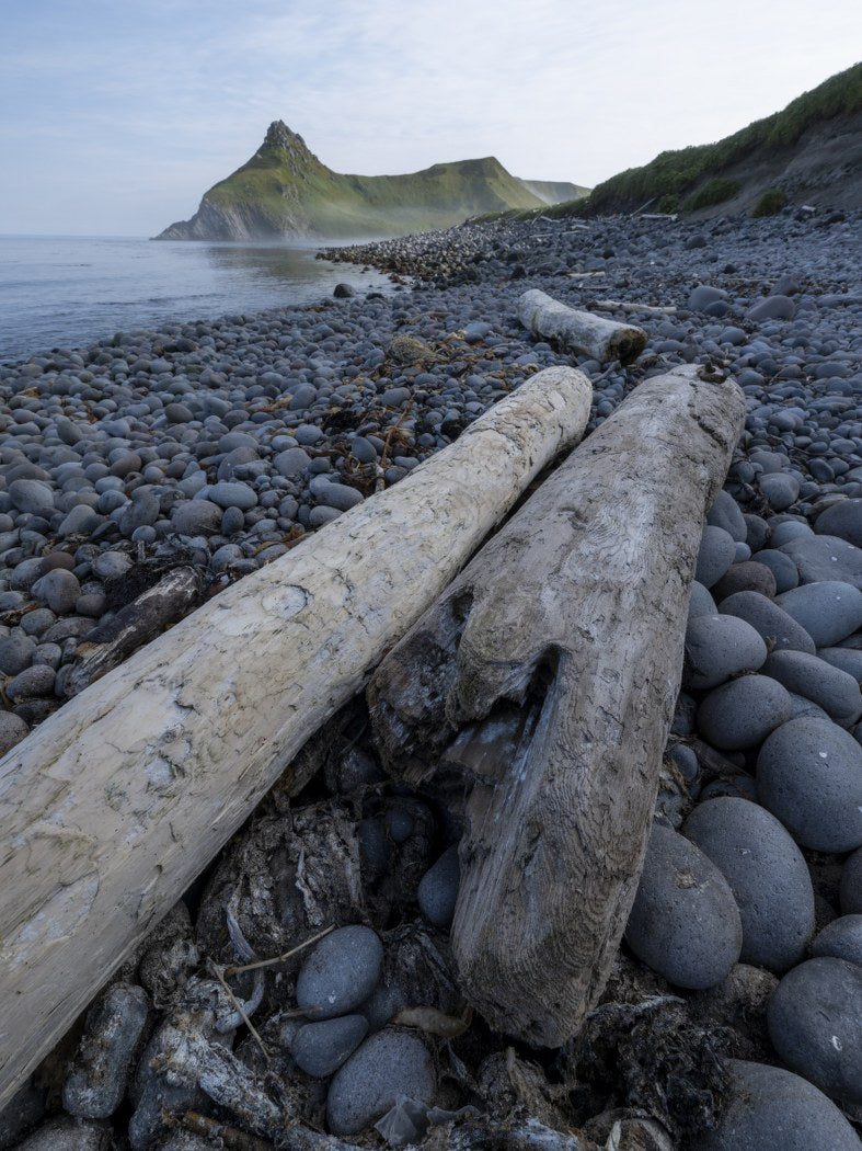 Driftwood and Pebbles