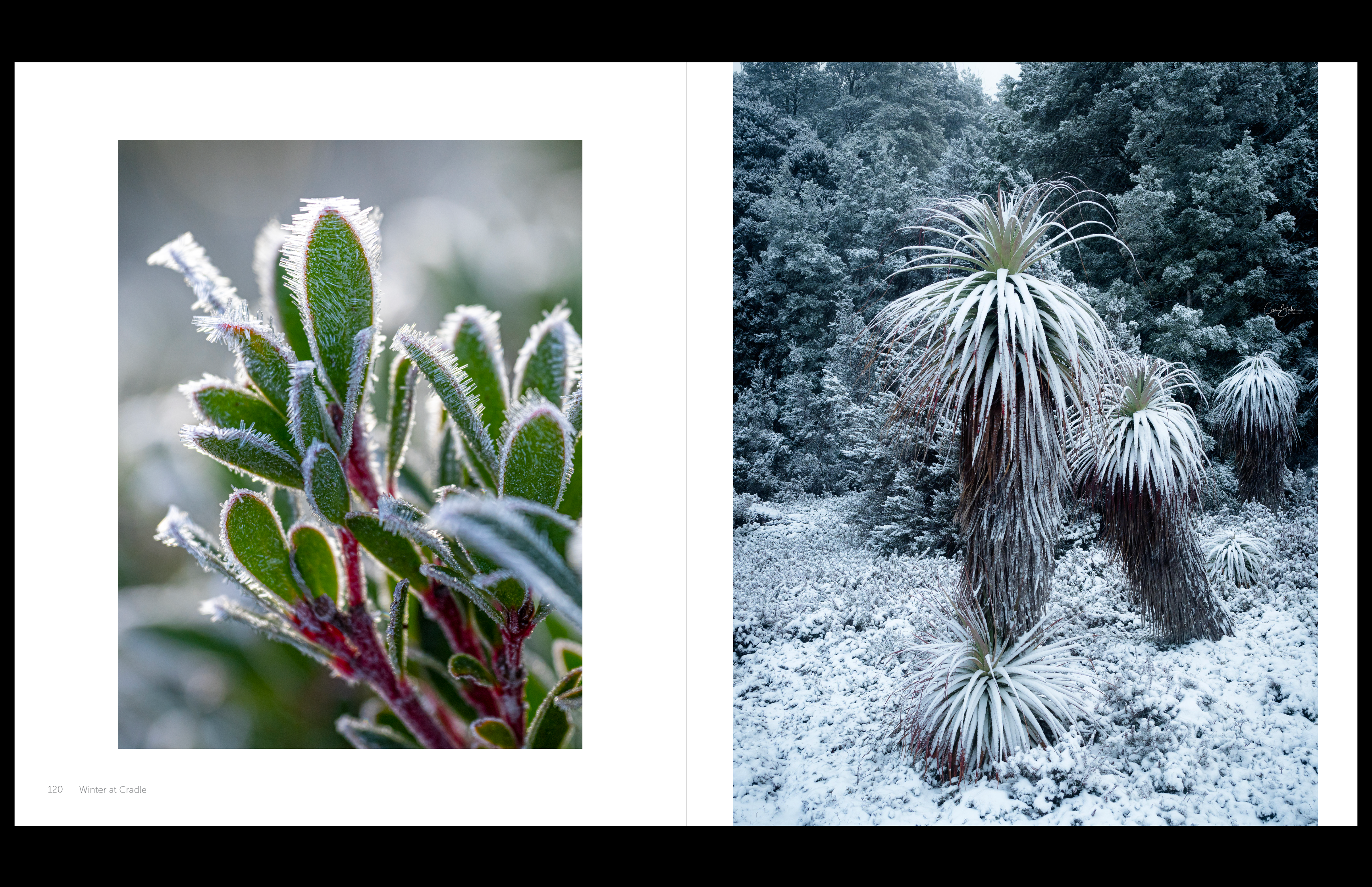 Cradle Mountain & The Overland Track