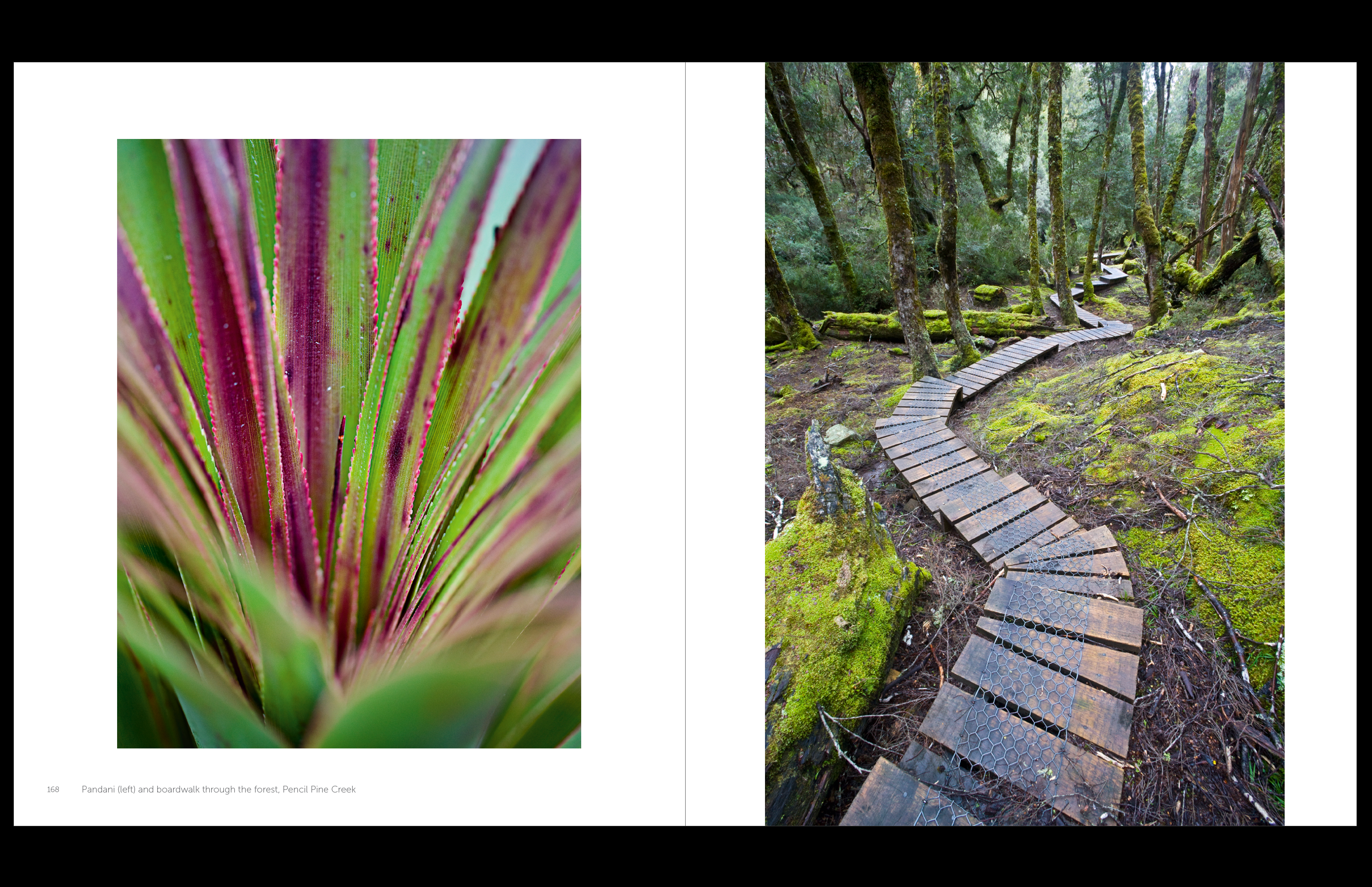 Cradle Mountain & The Overland Track