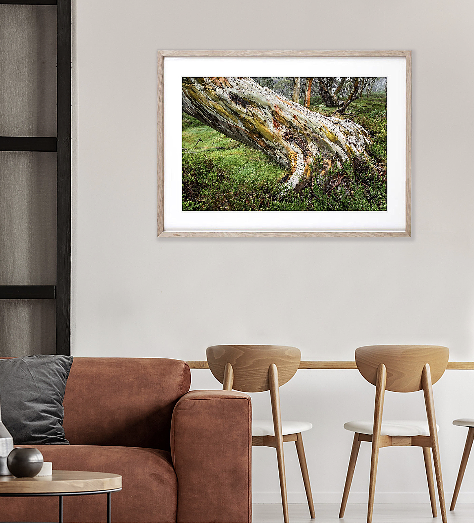 Ancient Snow Gum, Snowy Mountains, NSW