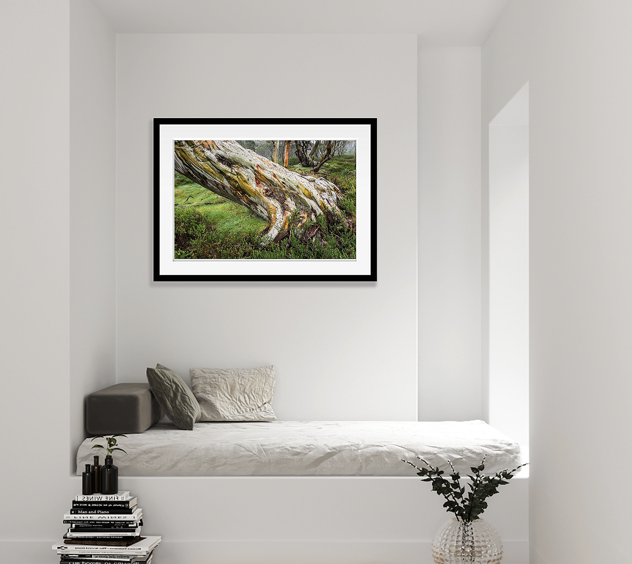 Ancient Snow Gum, Snowy Mountains, NSW