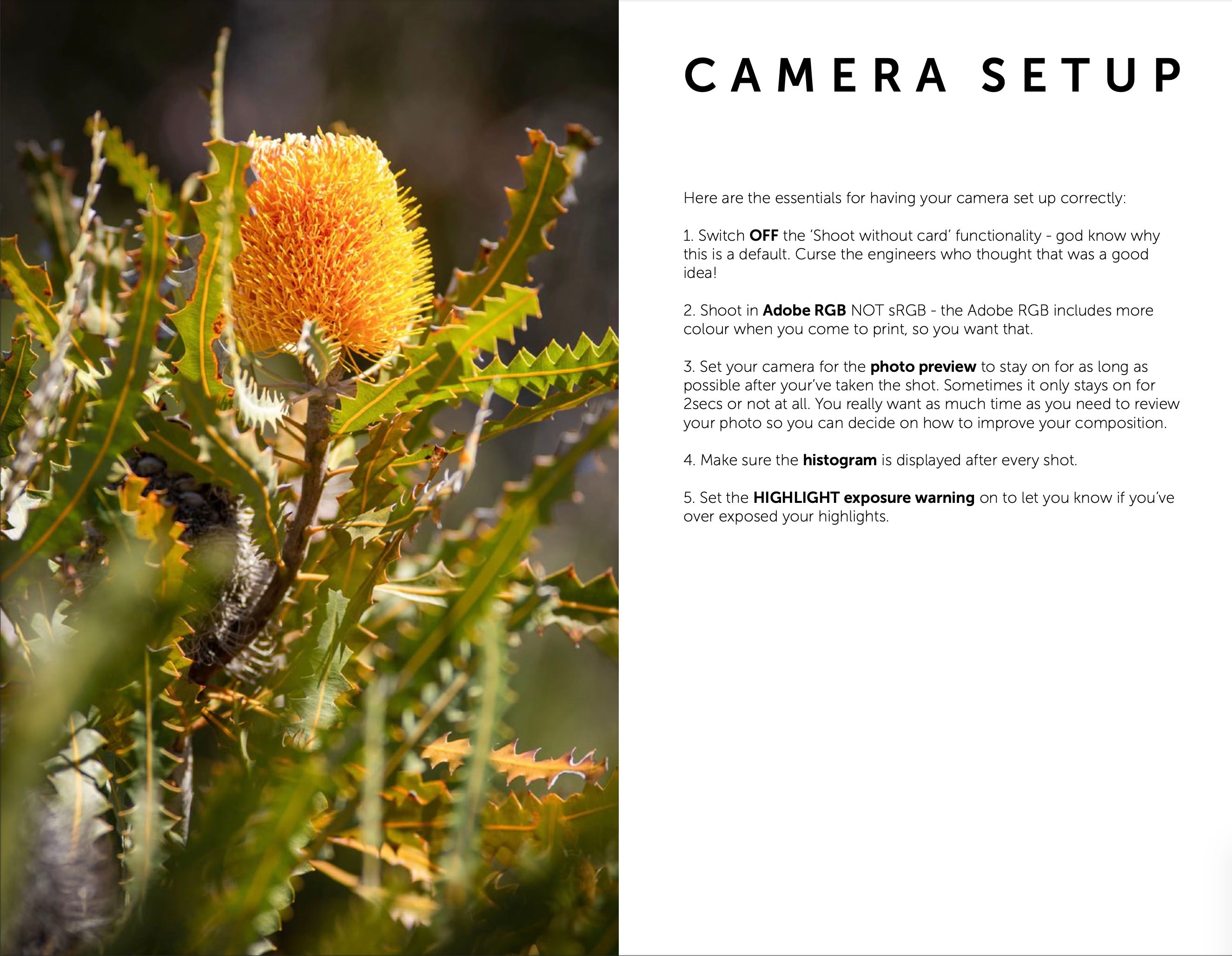 A Beginners Guide to Shooting Landscapes