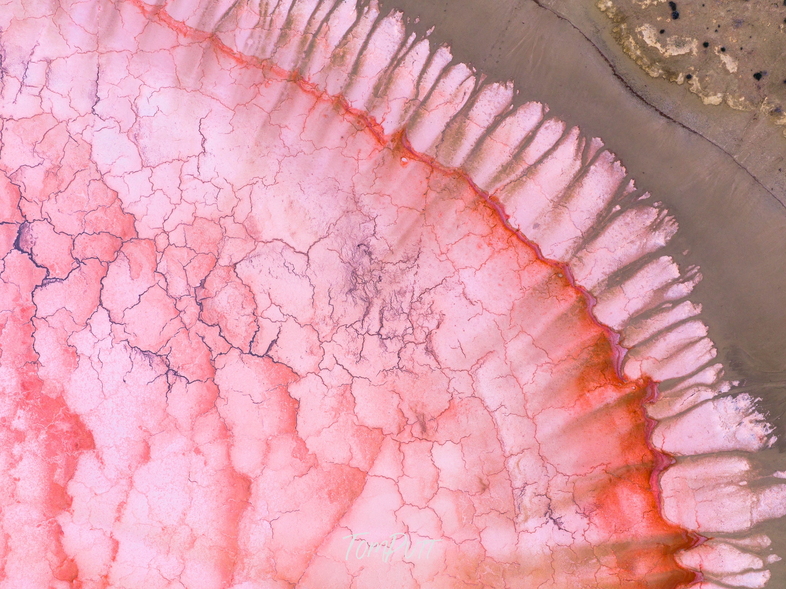 Pink Salt Fringe