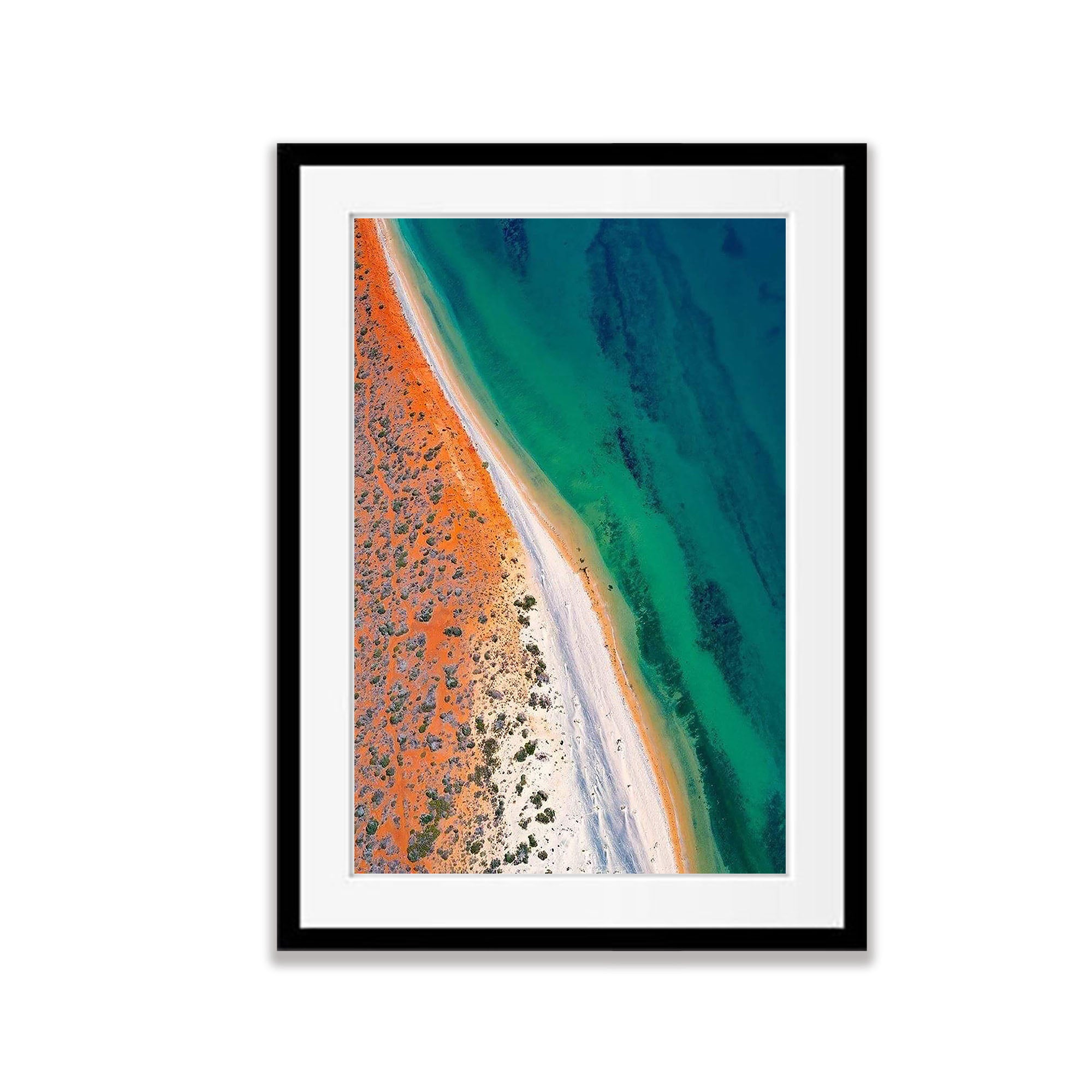 Shark Bay No.4, Shark Bay, WA