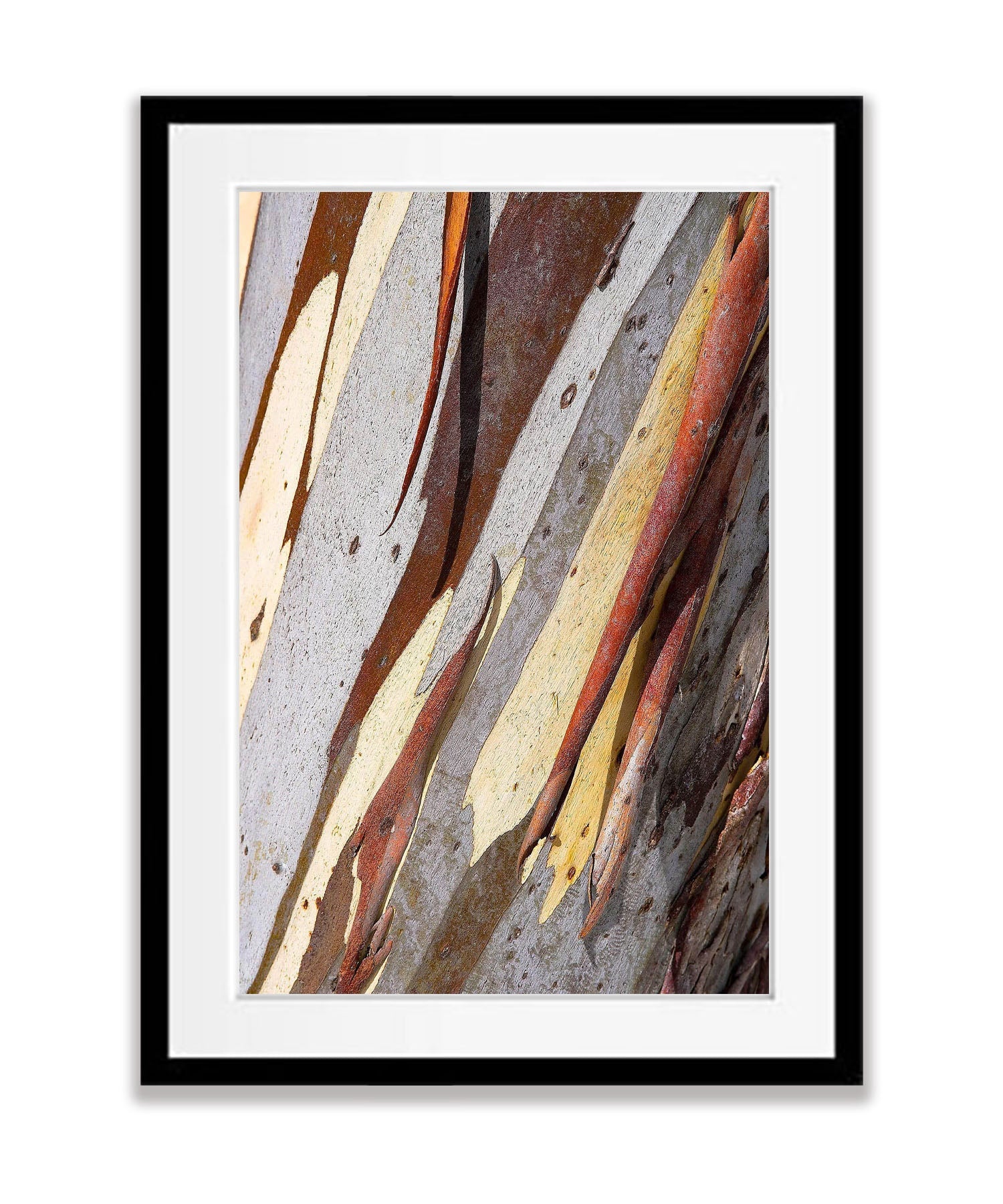 ARTWORK INSTOCK - Snow Gum Bark Detail - Victorian High Country