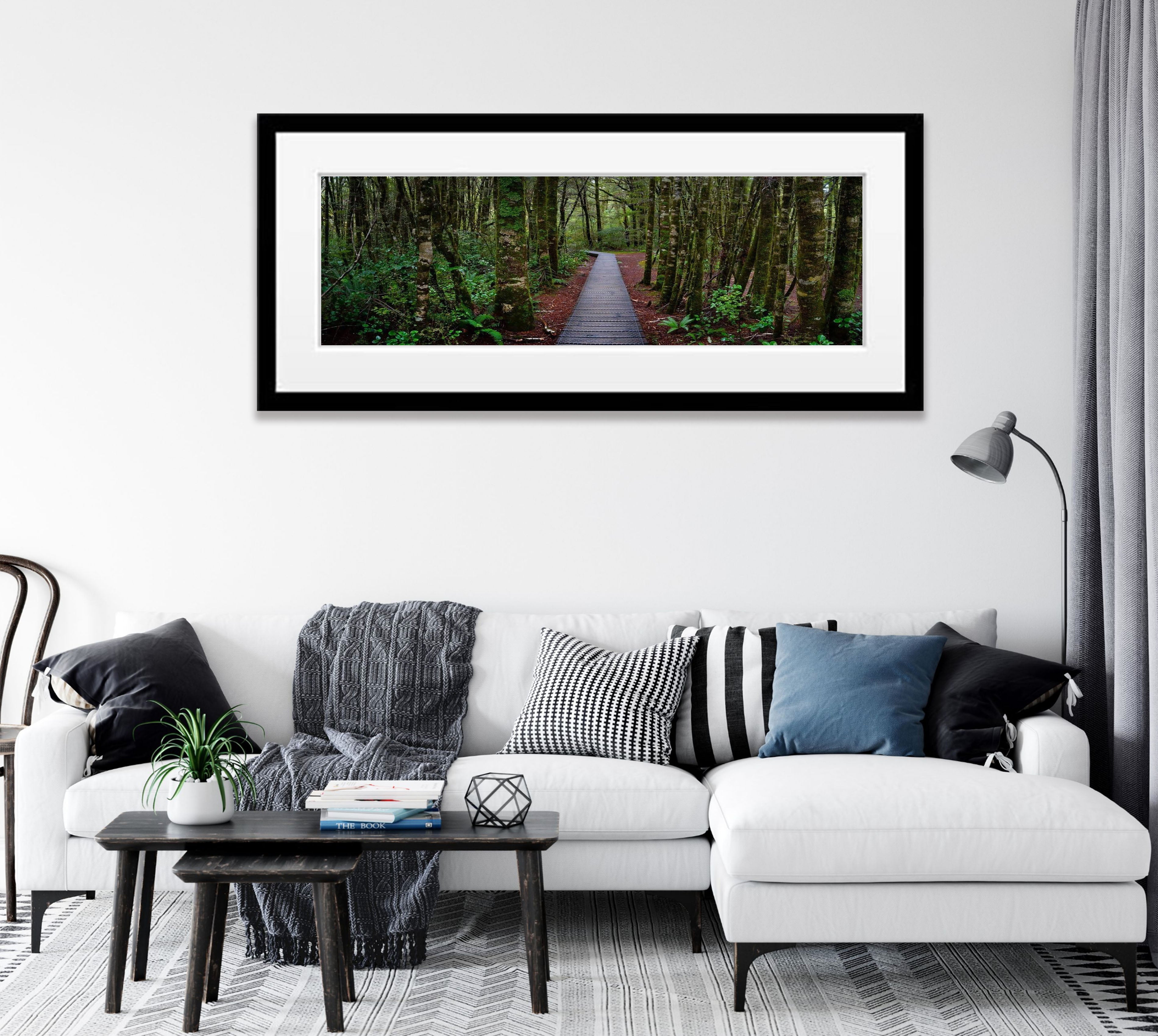 South Island Forest - New Zealalnd