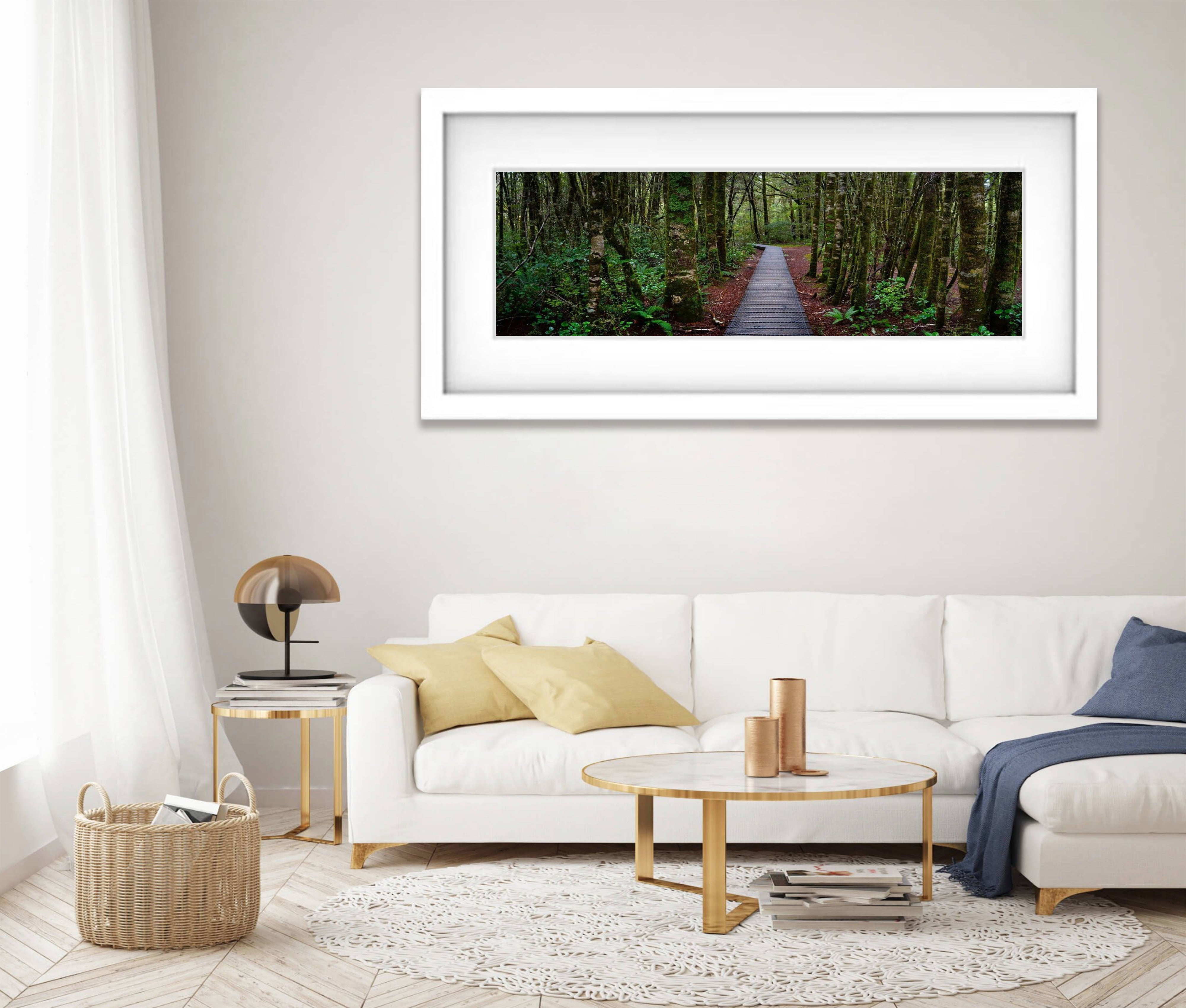 South Island Forest - New Zealalnd