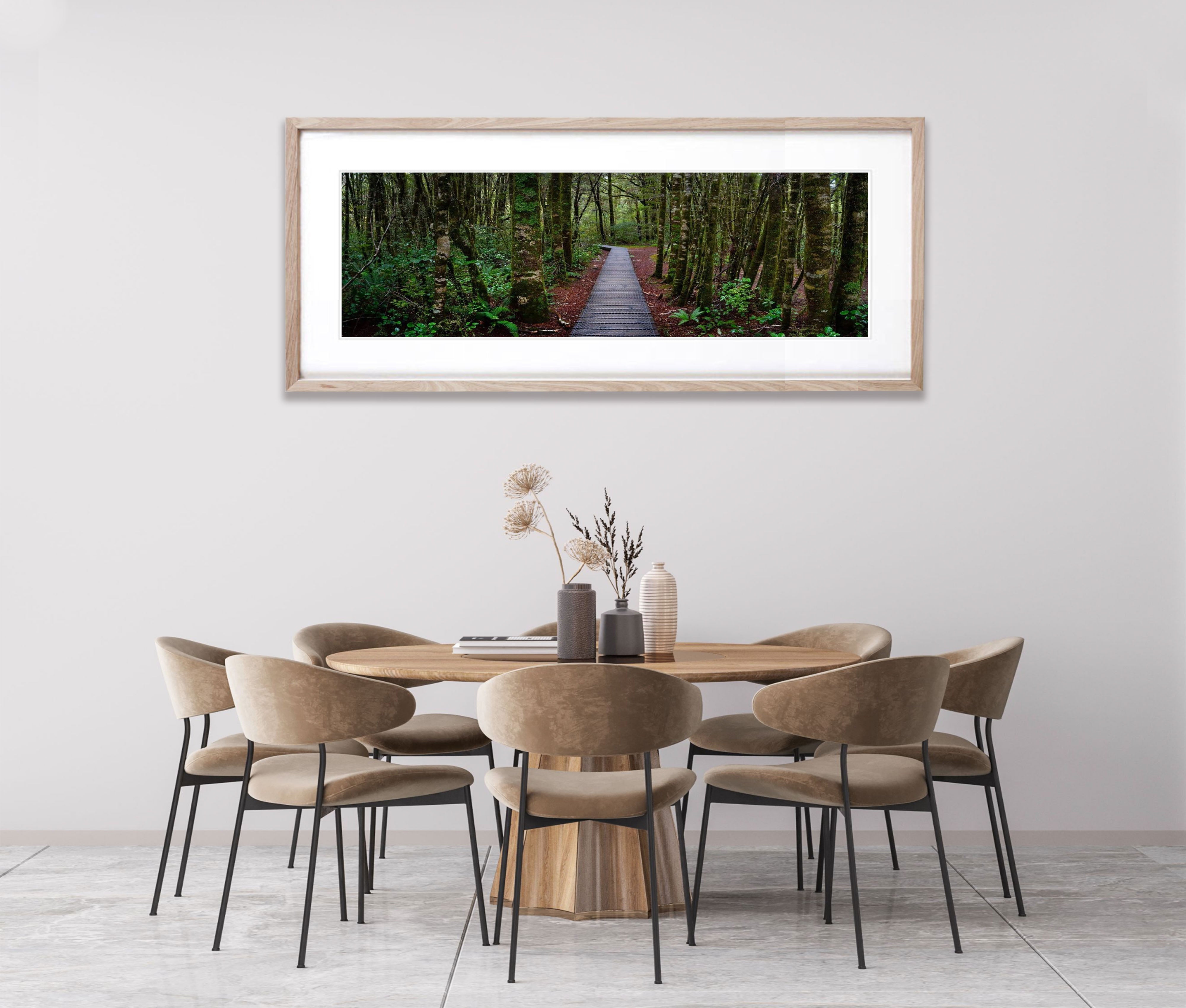 South Island Forest - New Zealalnd