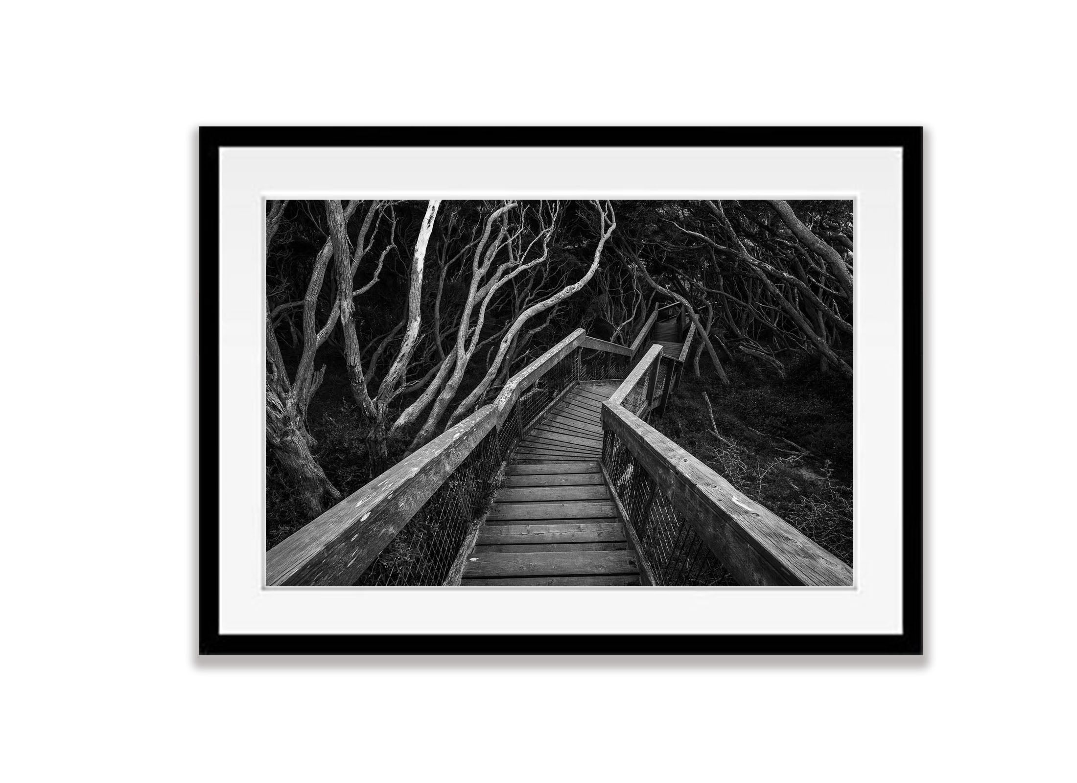Staircase, Sorrento Bushland
