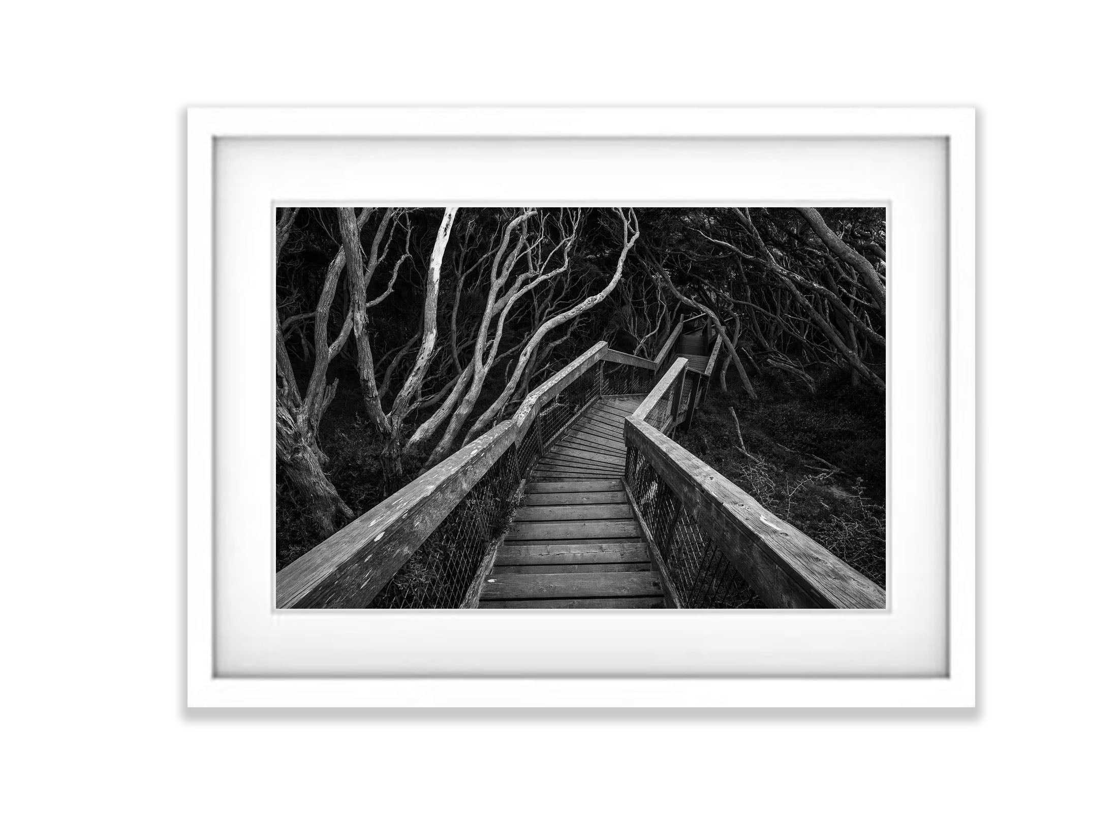 Staircase, Sorrento Bushland