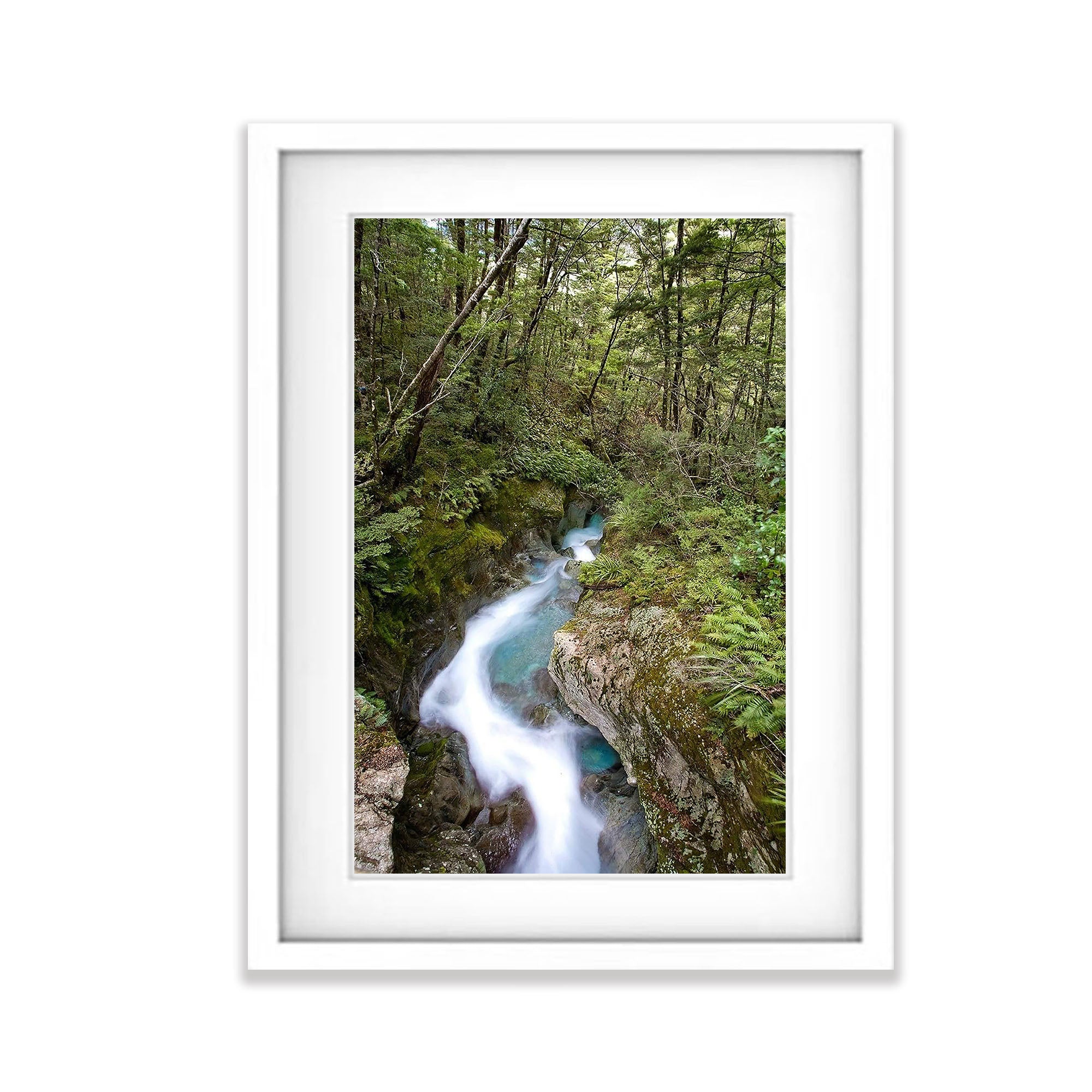 Sugar Loaf Stream, Routeburn Track - New Zealand