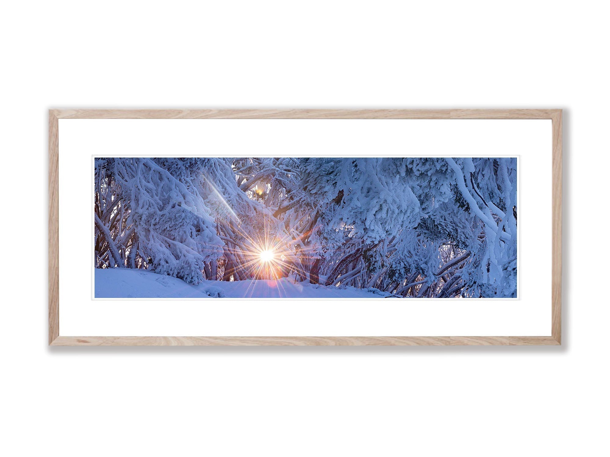ARTWORK INSTOCK - Sunrise Though Frozen Snow Gums, Mt Baw Baw, VIC - 150x 75cms Canvas Raw Oak Print