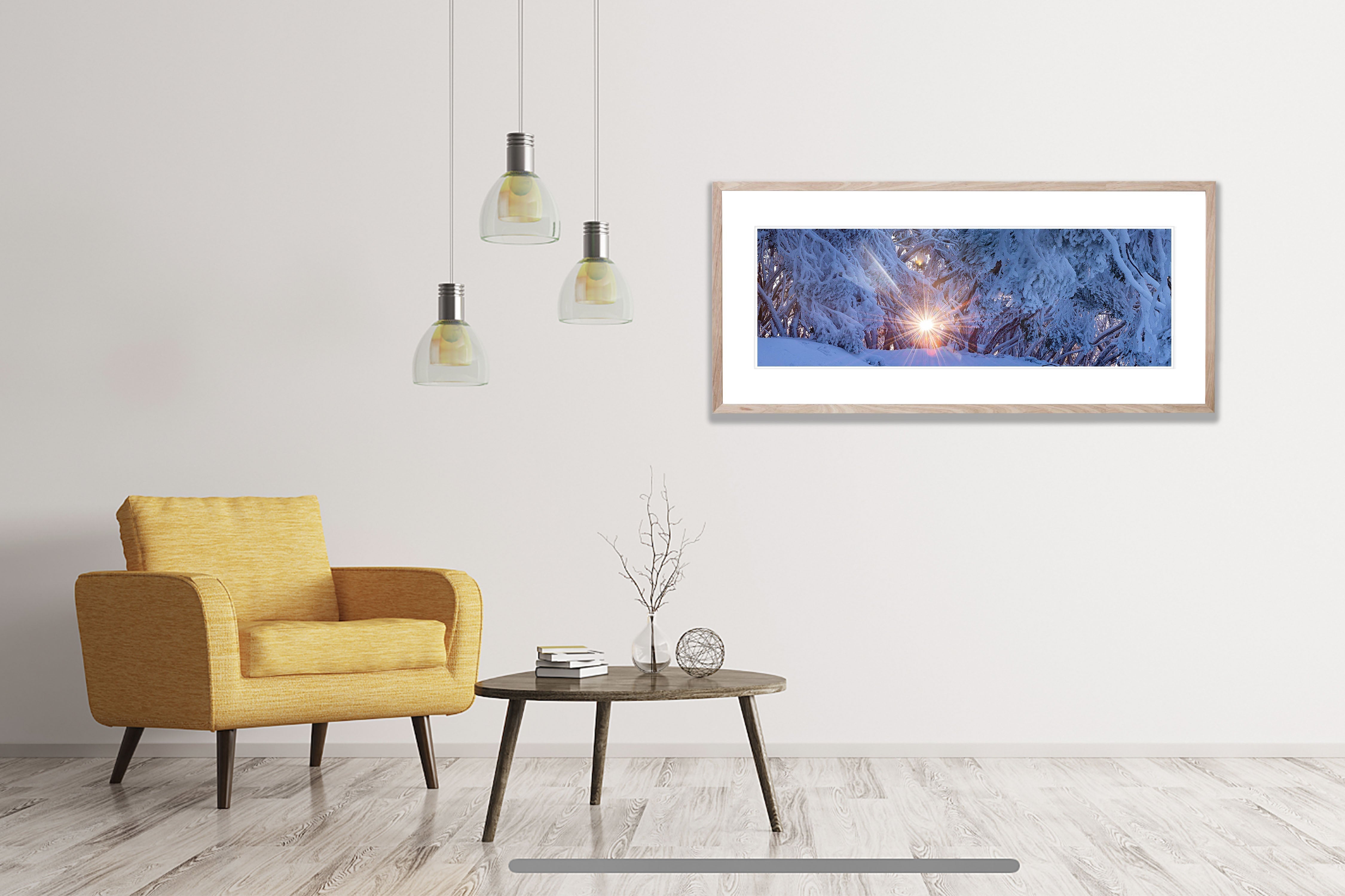 ARTWORK INSTOCK - Sunrise Though Frozen Snow Gums, Mt Baw Baw, VIC - 150x 75cms Canvas Raw Oak Print