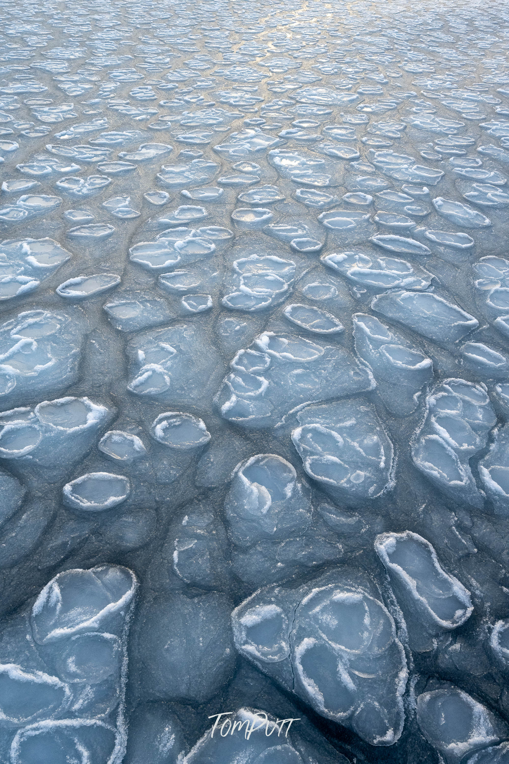 Frozen Mosaic, Svalbard
