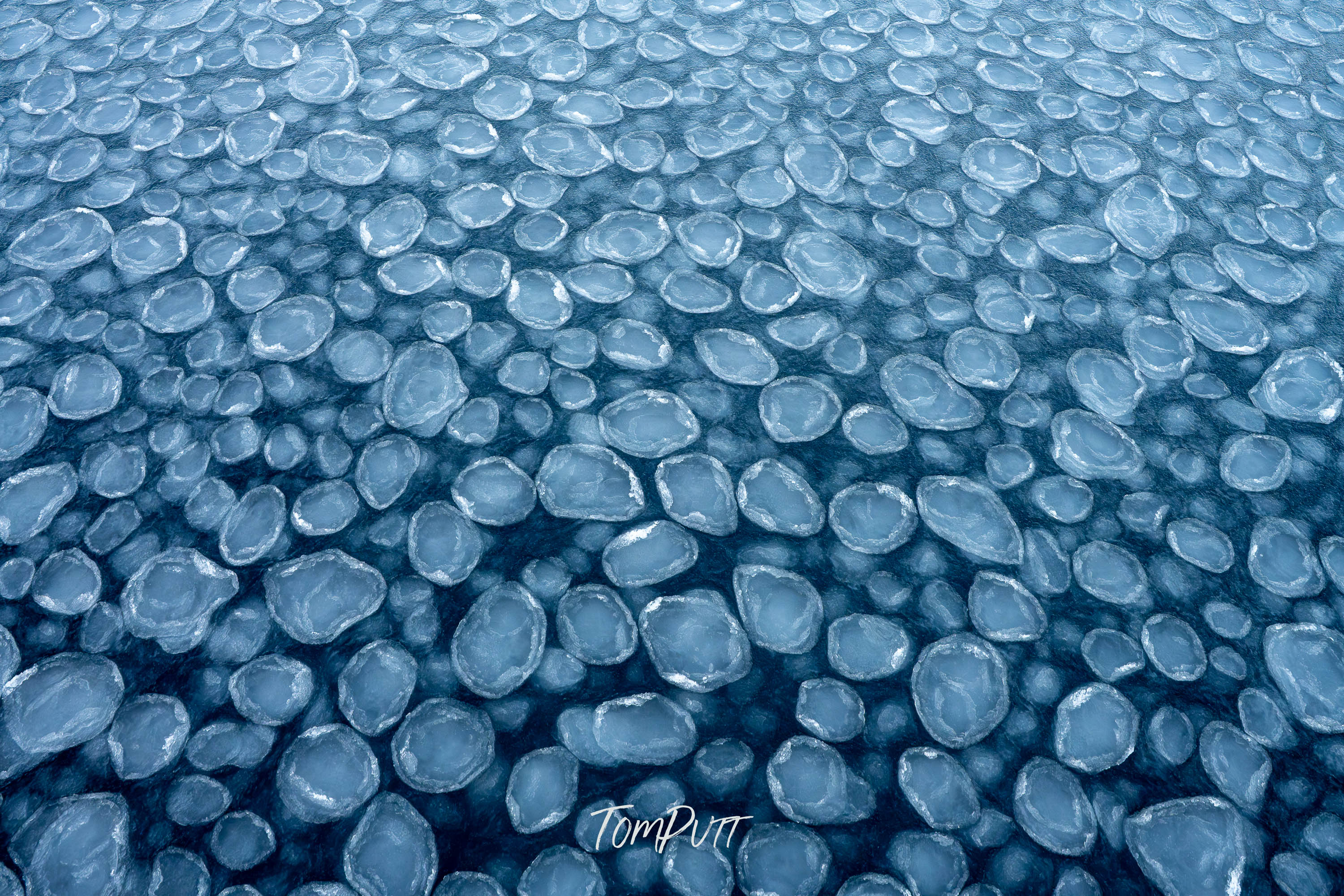 Discs of Blue, Svalbard