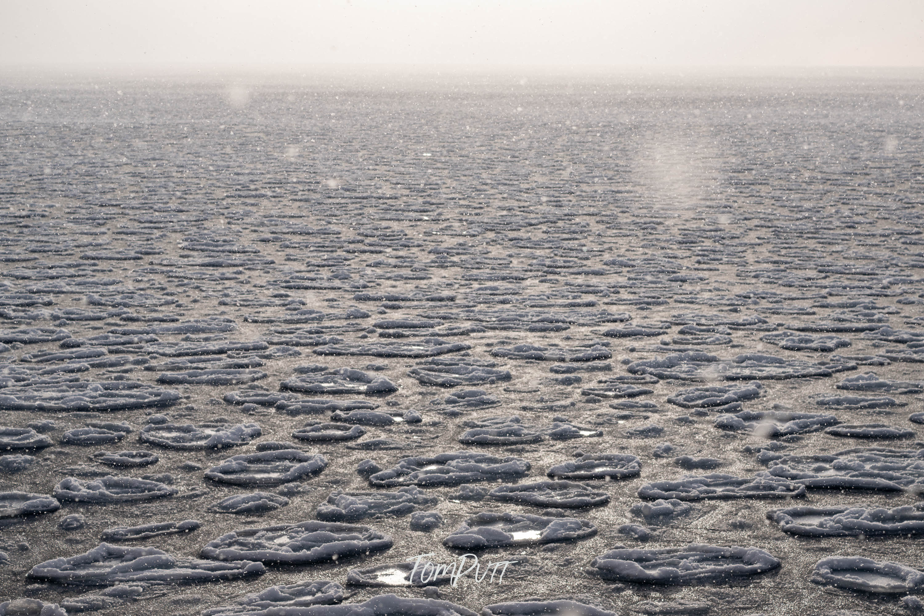 Moonscape of Svalbard