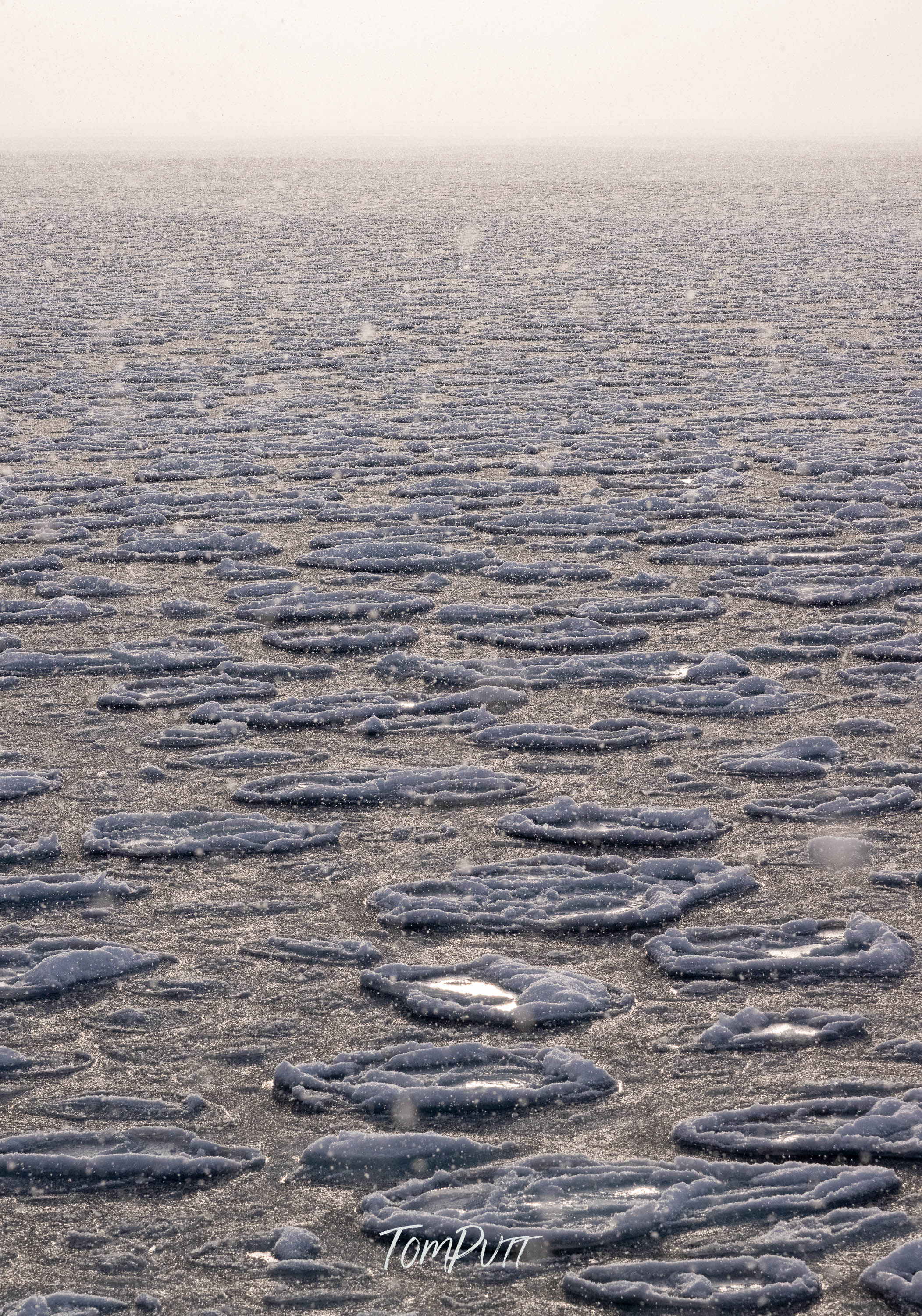 Field of Circles, Svalbard