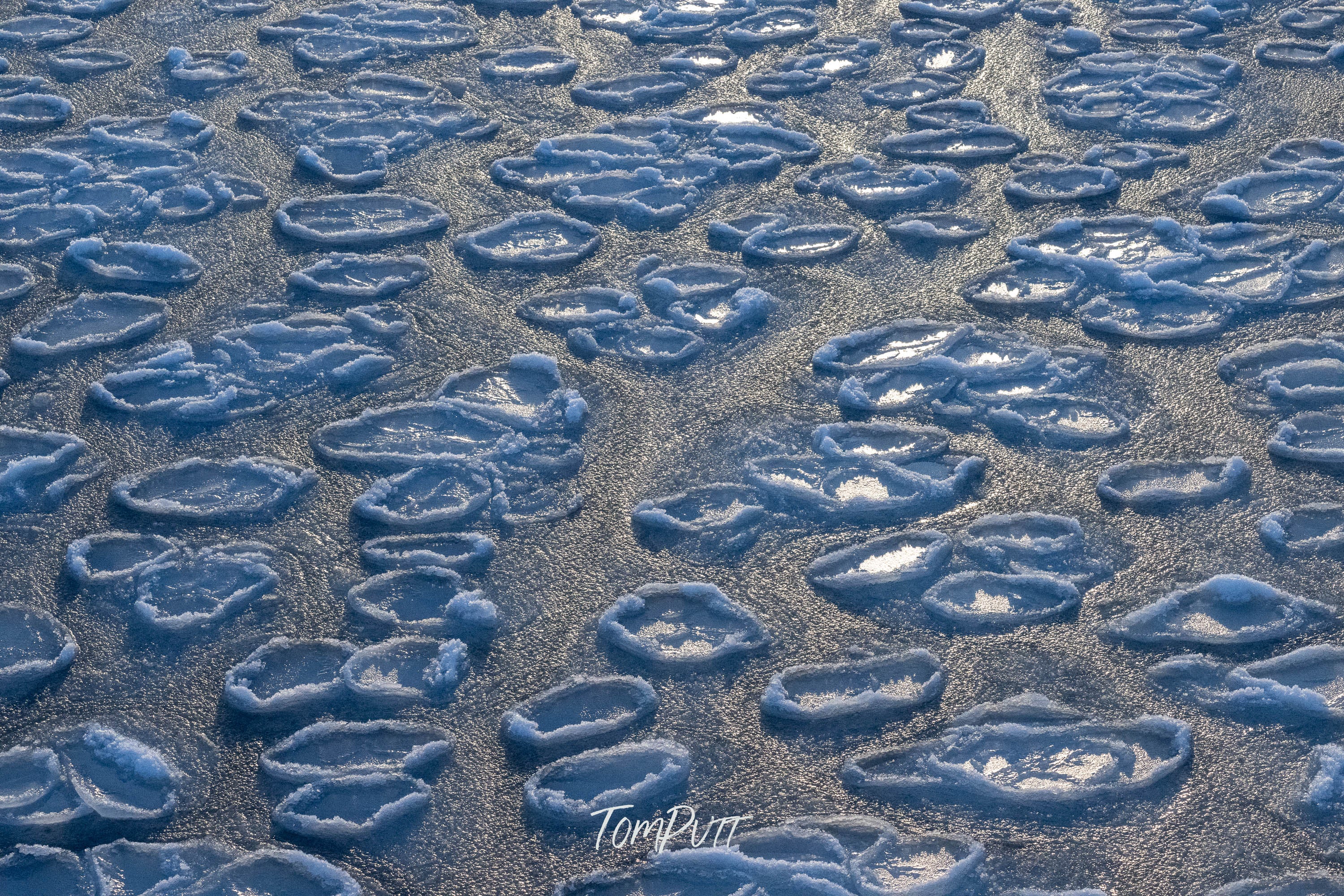 Glacial Rings, Svalbard