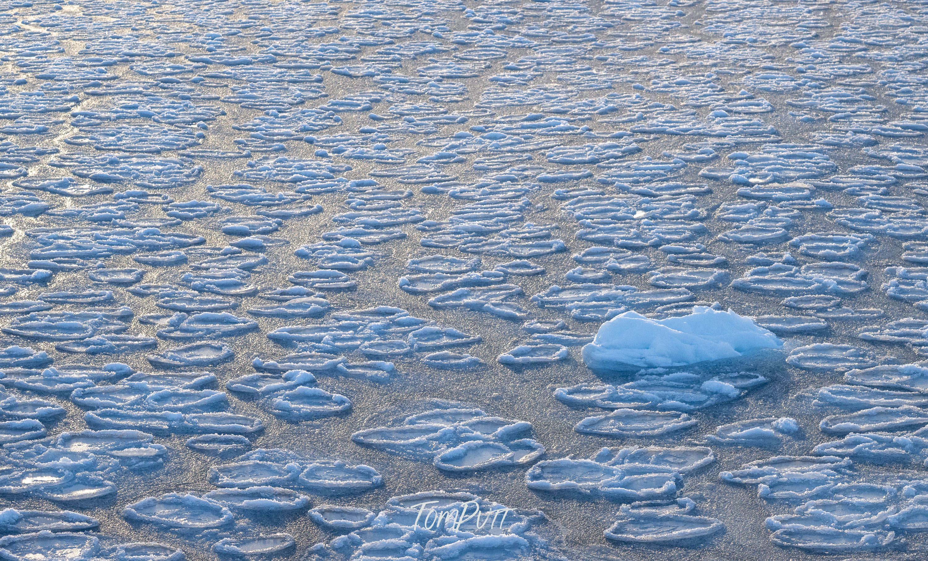 Frozen Outlier, Svalbard