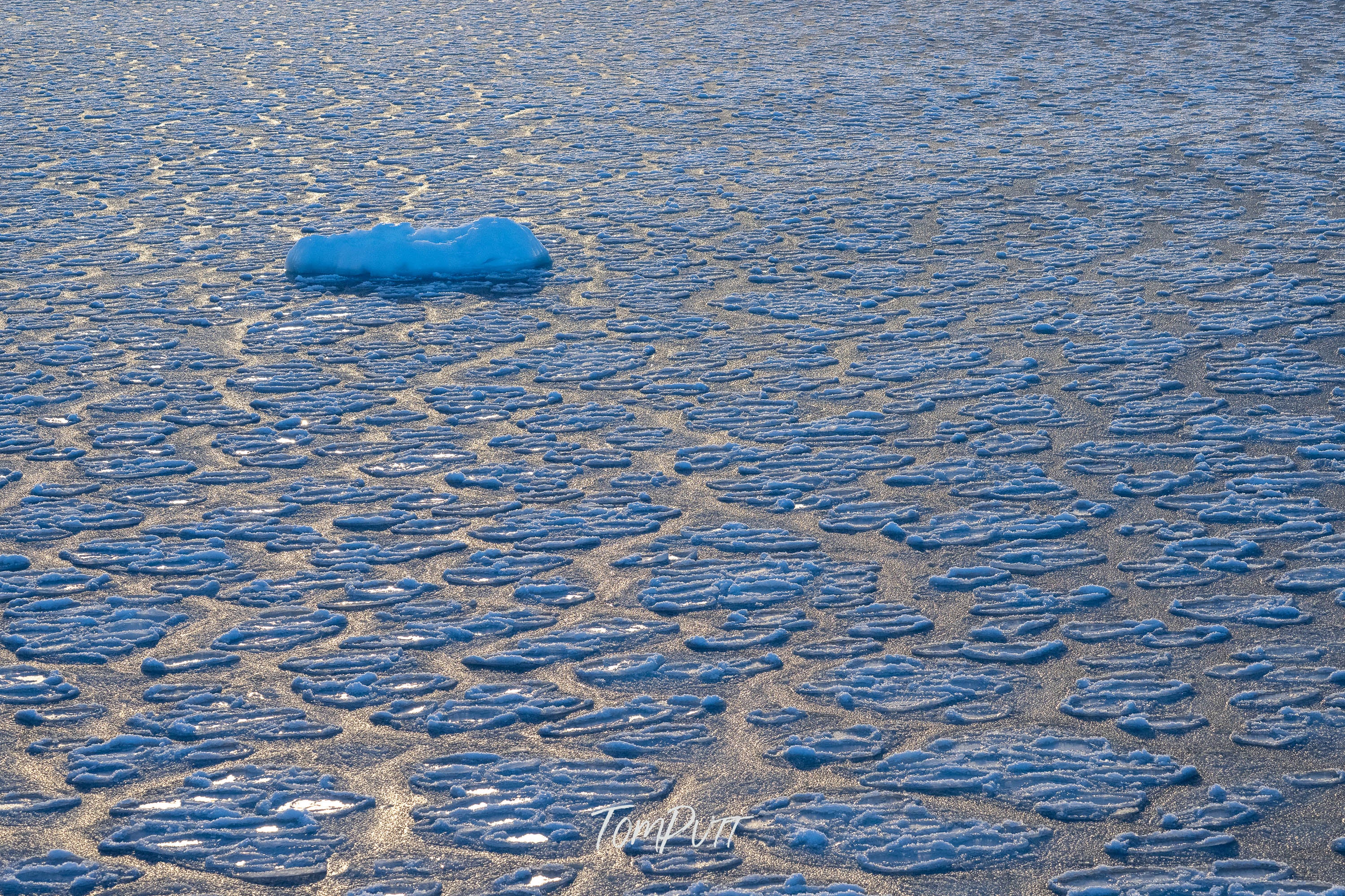 Glacial Abstraction, Svalbard