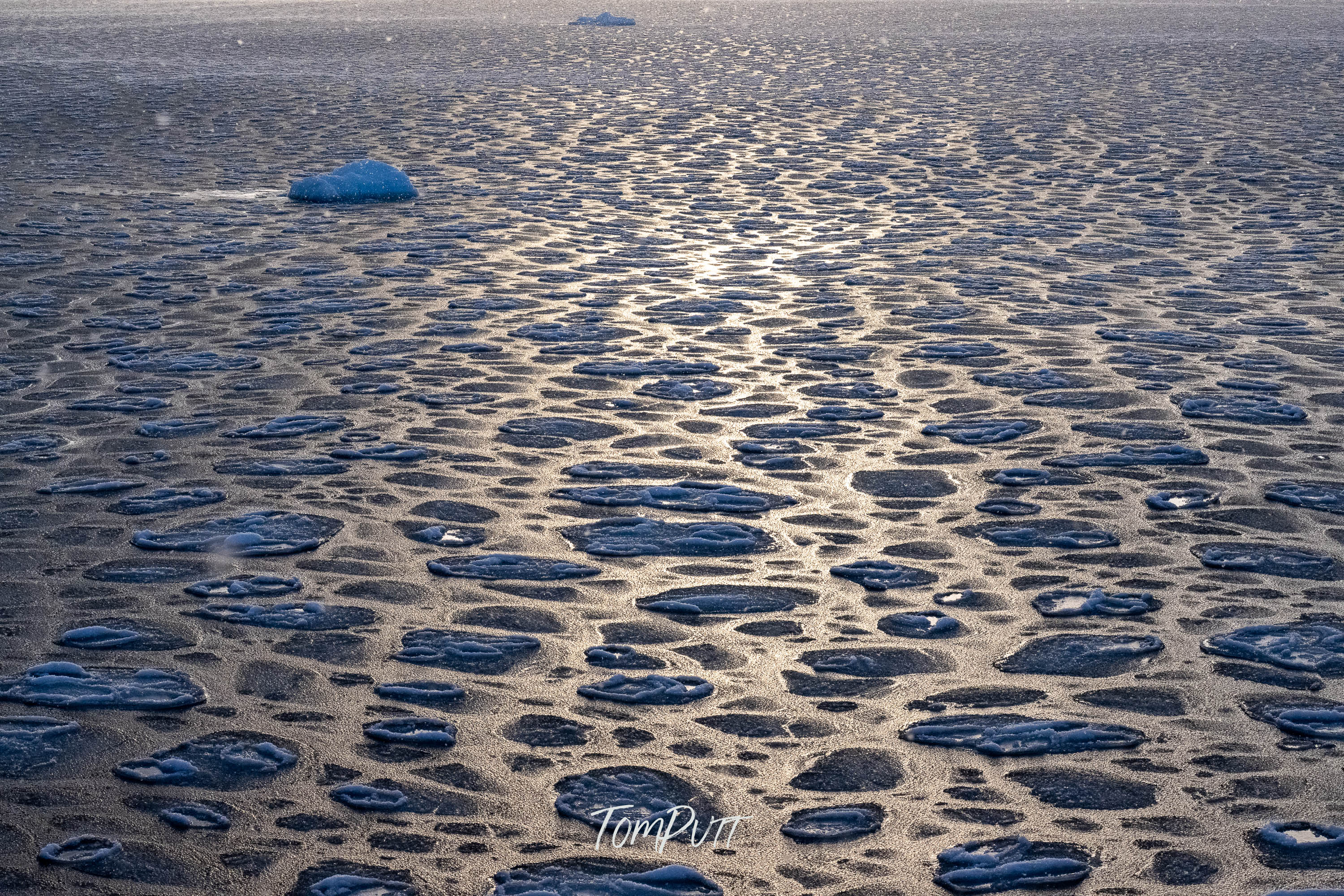 Svalbard Ice Patterns