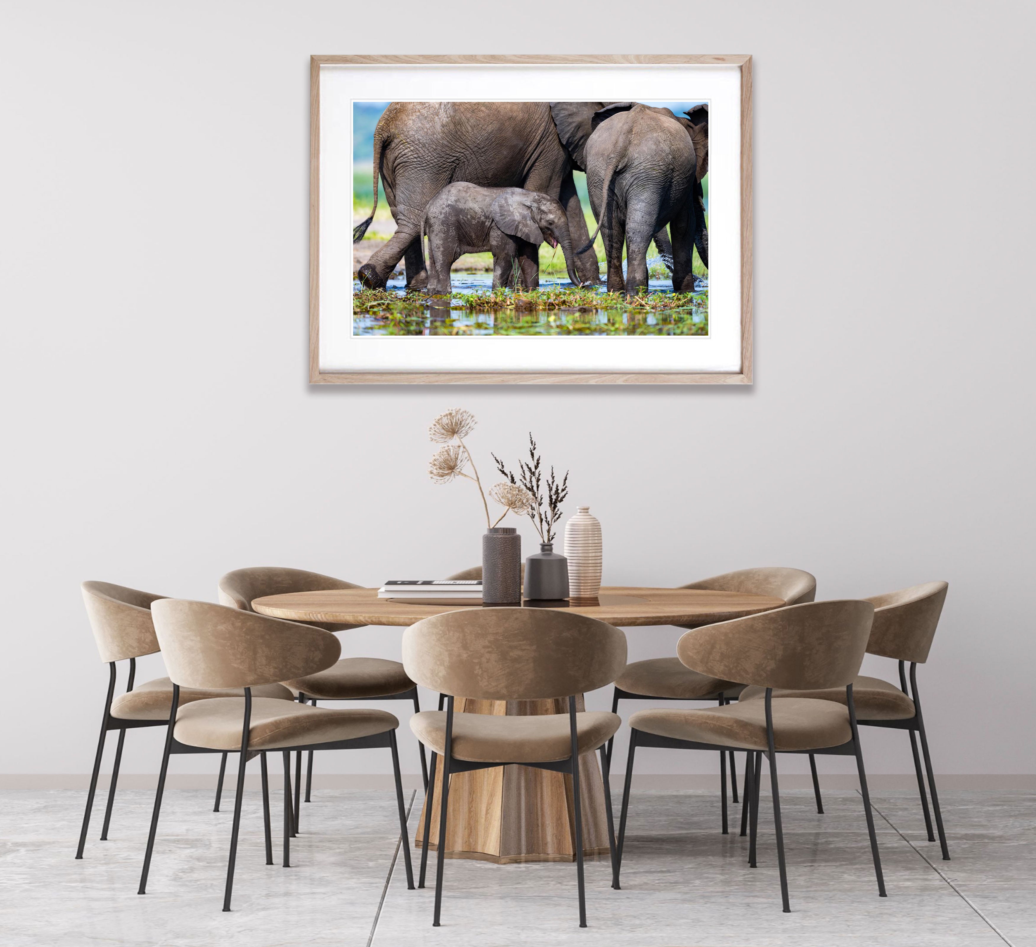 The Baby Elephant, Chobe River, Botswana